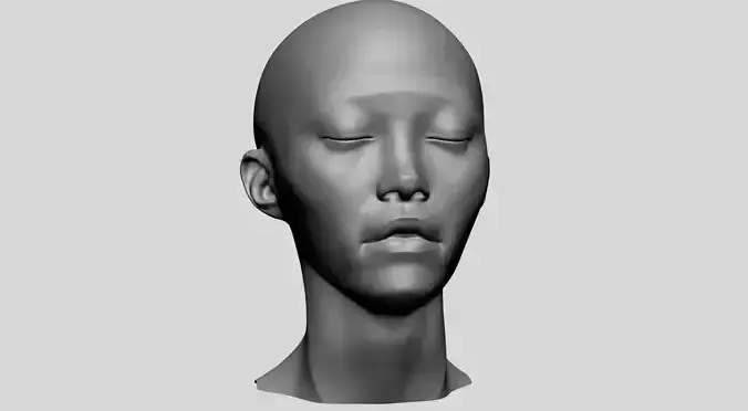 Female Head Printable A 3D print model
