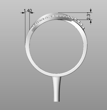 Ring ribbon plexus 3D print model_9