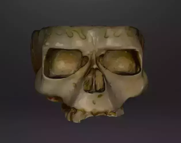 Skull Ashtray Or Dish 3D print model