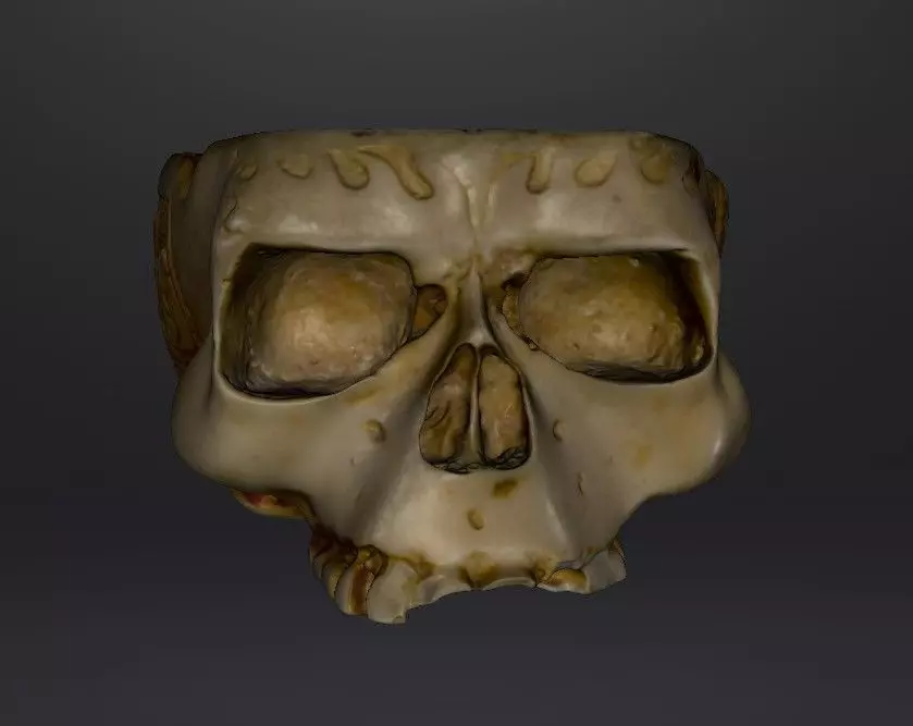 Skull Ashtray Or Dish 3D print model_0