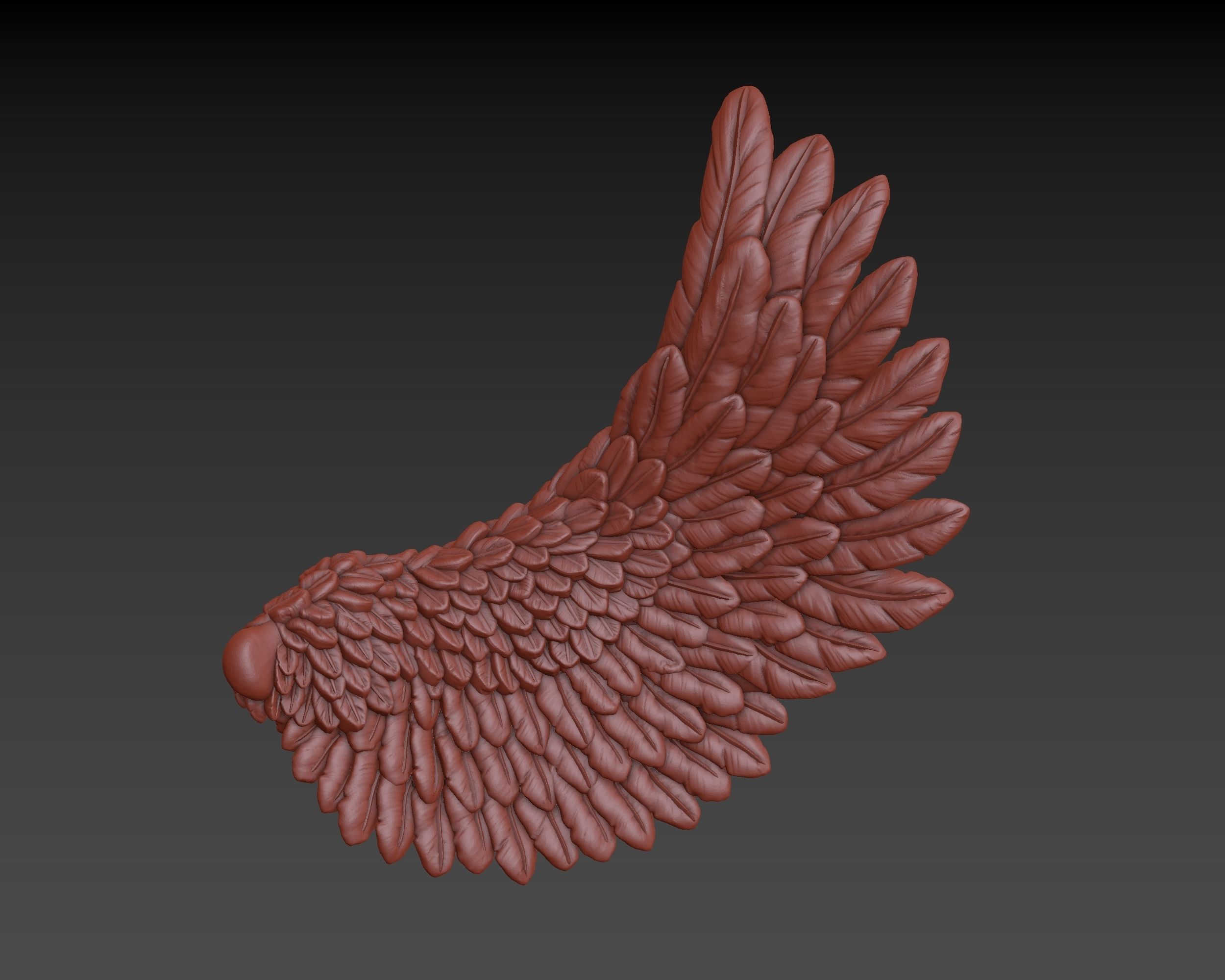 Wings eagle wing 3D print model_13