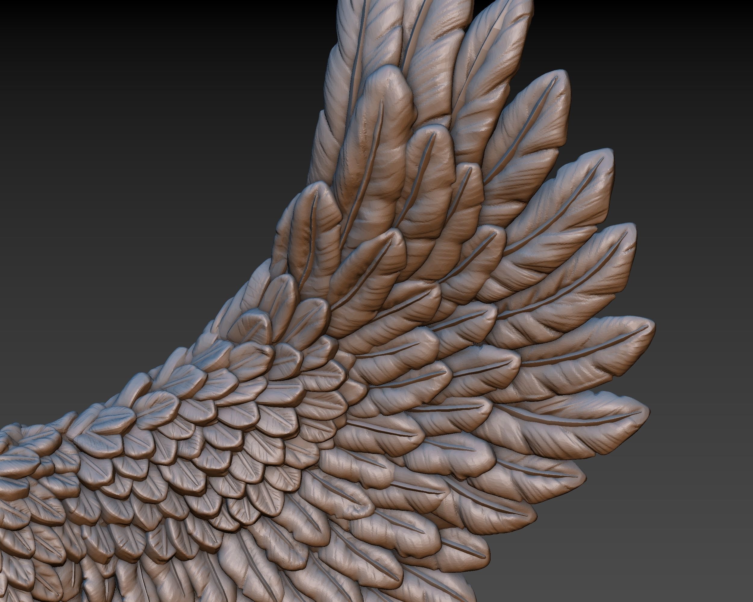 Wings eagle wing 3D print model_11