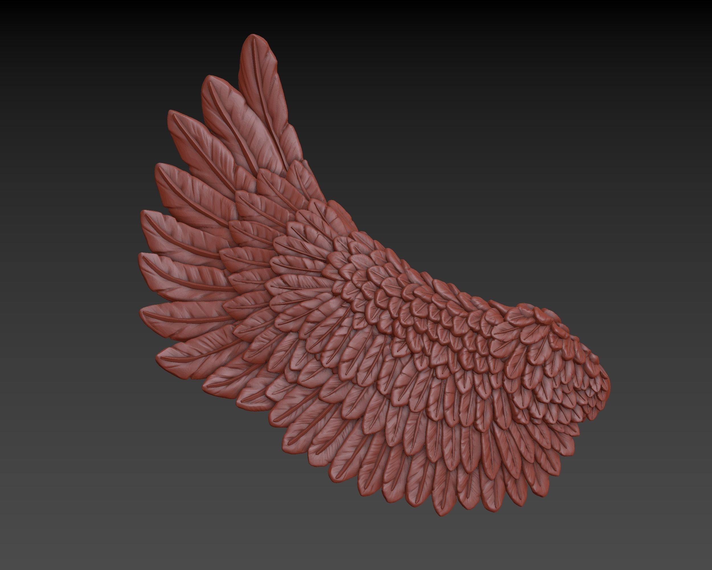 Wings eagle wing 3D print model_12