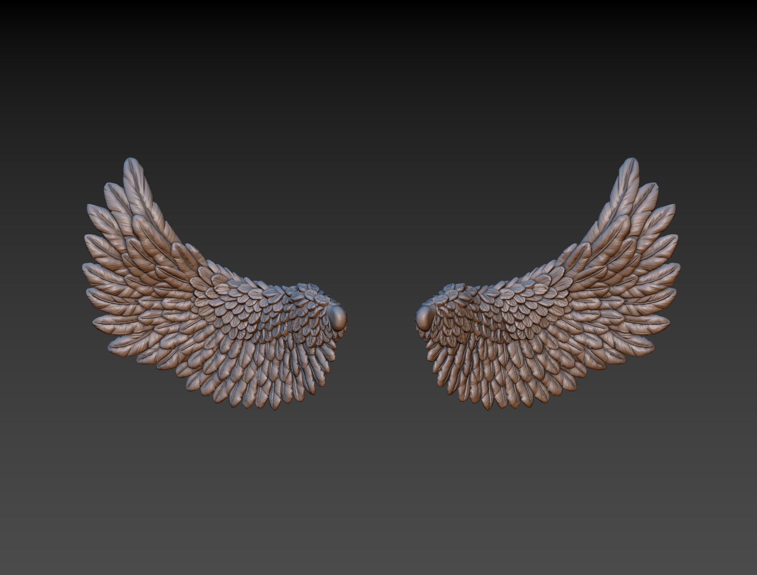 Wings eagle wing 3D print model_19