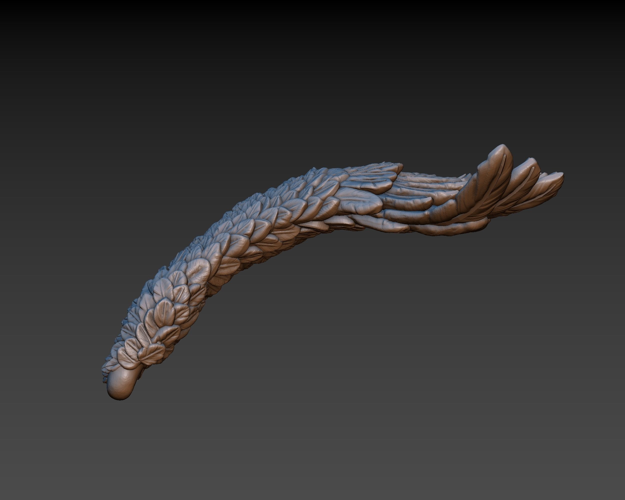 Wings eagle wing 3D print model_6