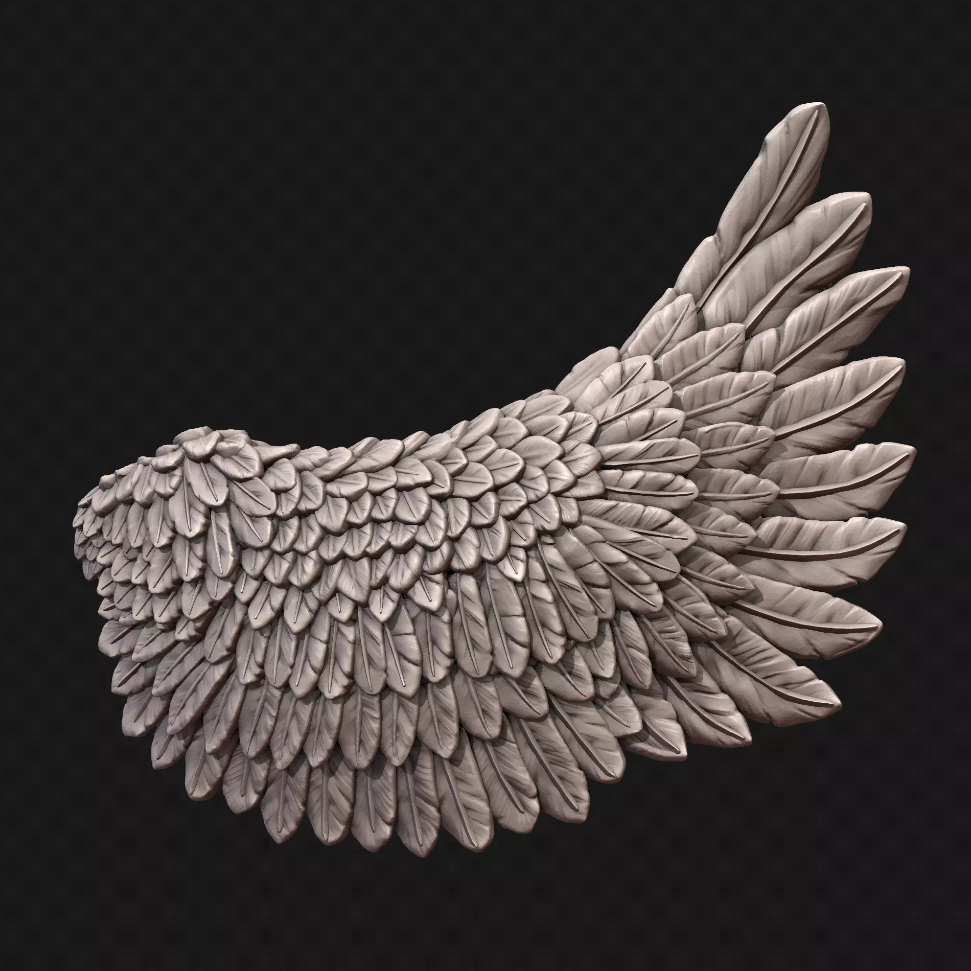 Wings eagle wing 3D print model_0