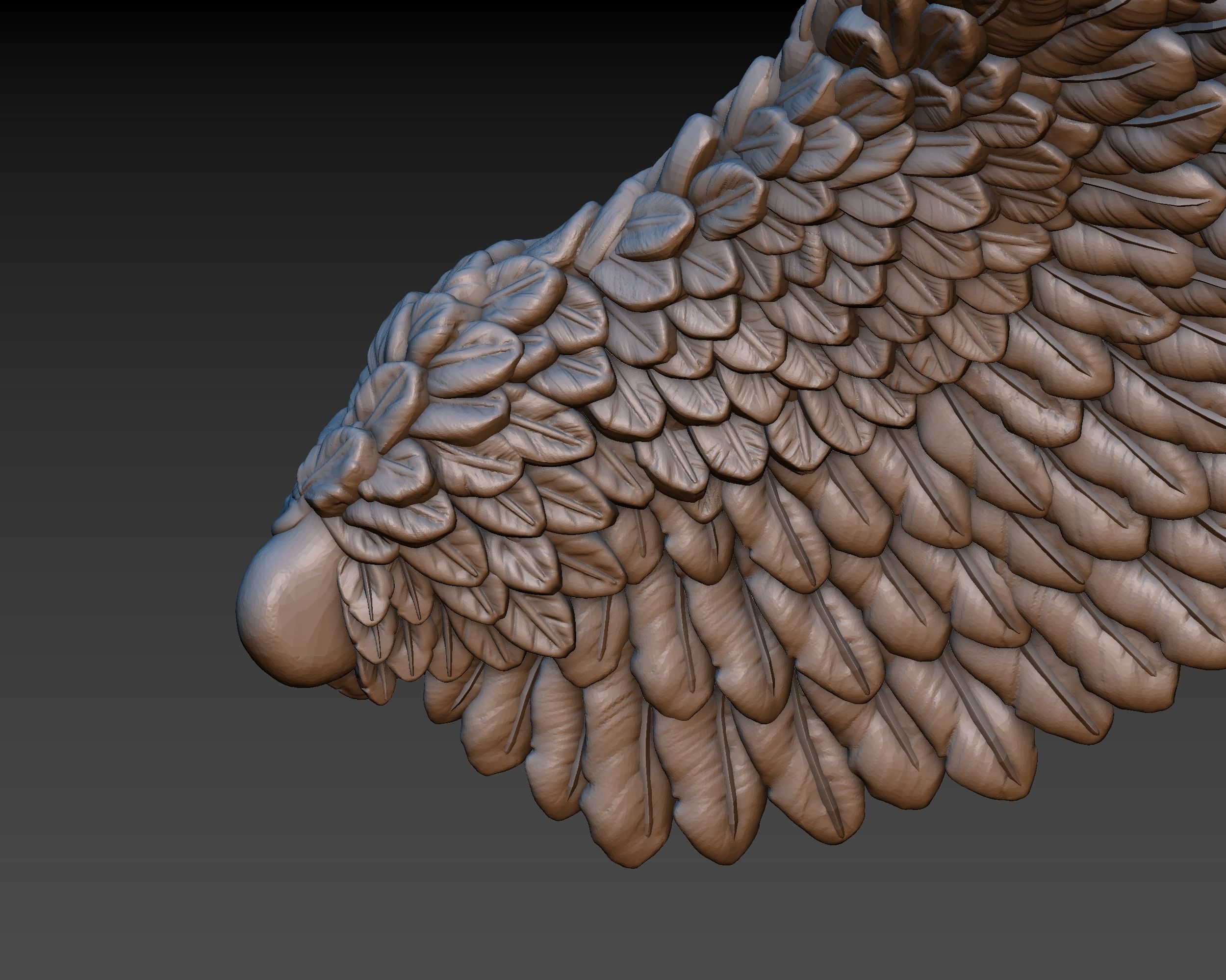 Wings eagle wing 3D print model_10