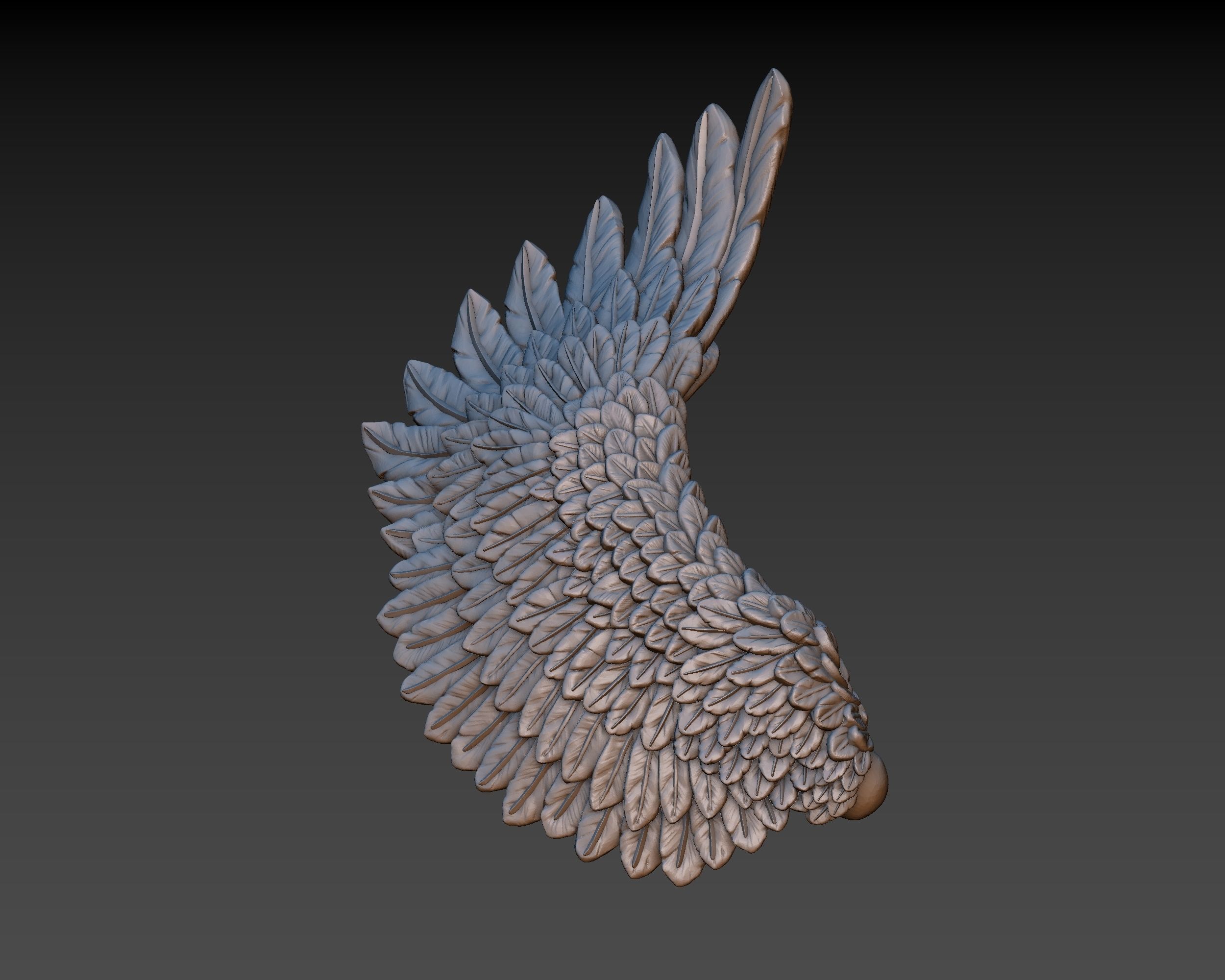 Wings eagle wing 3D print model_4