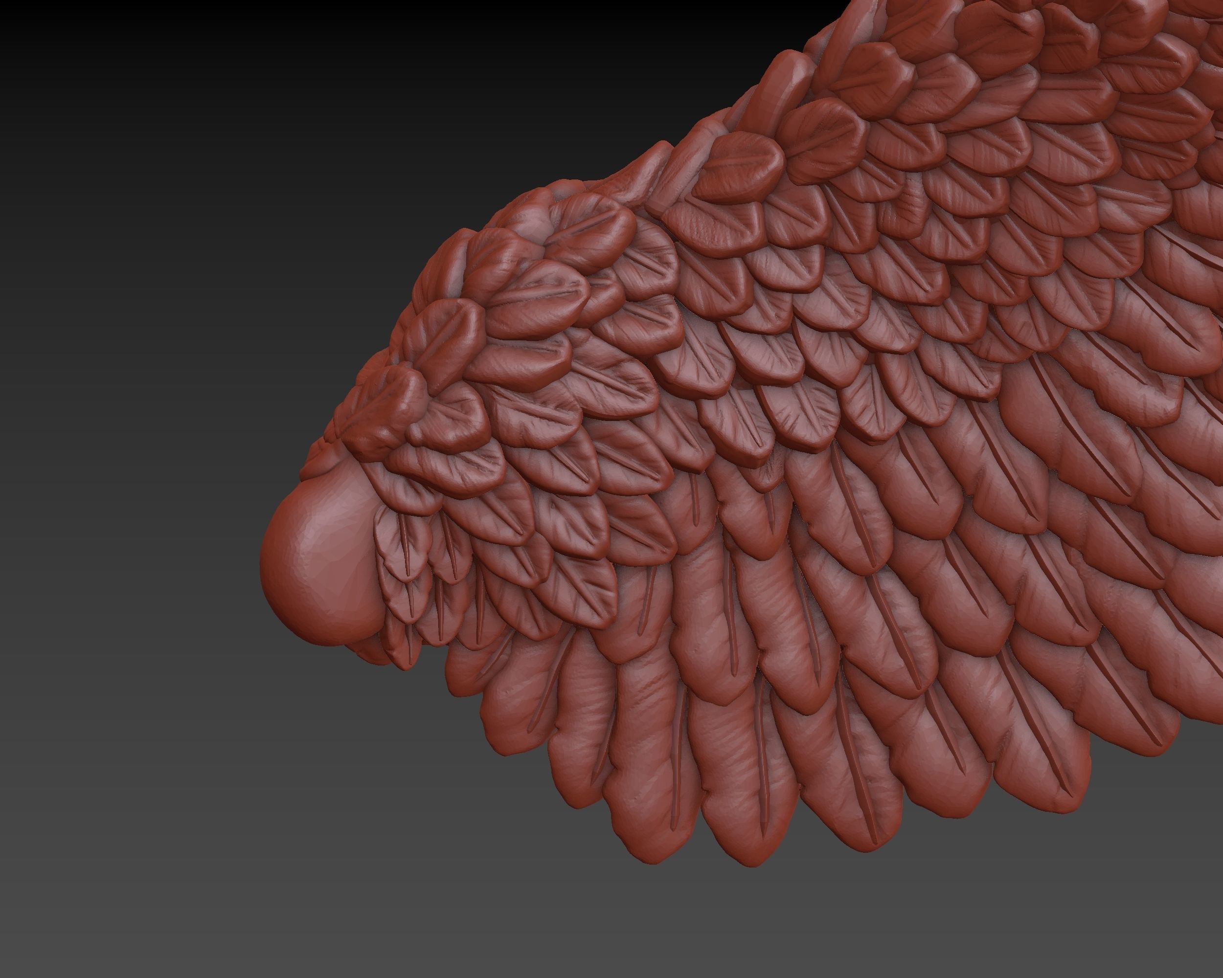 Wings eagle wing 3D print model_17