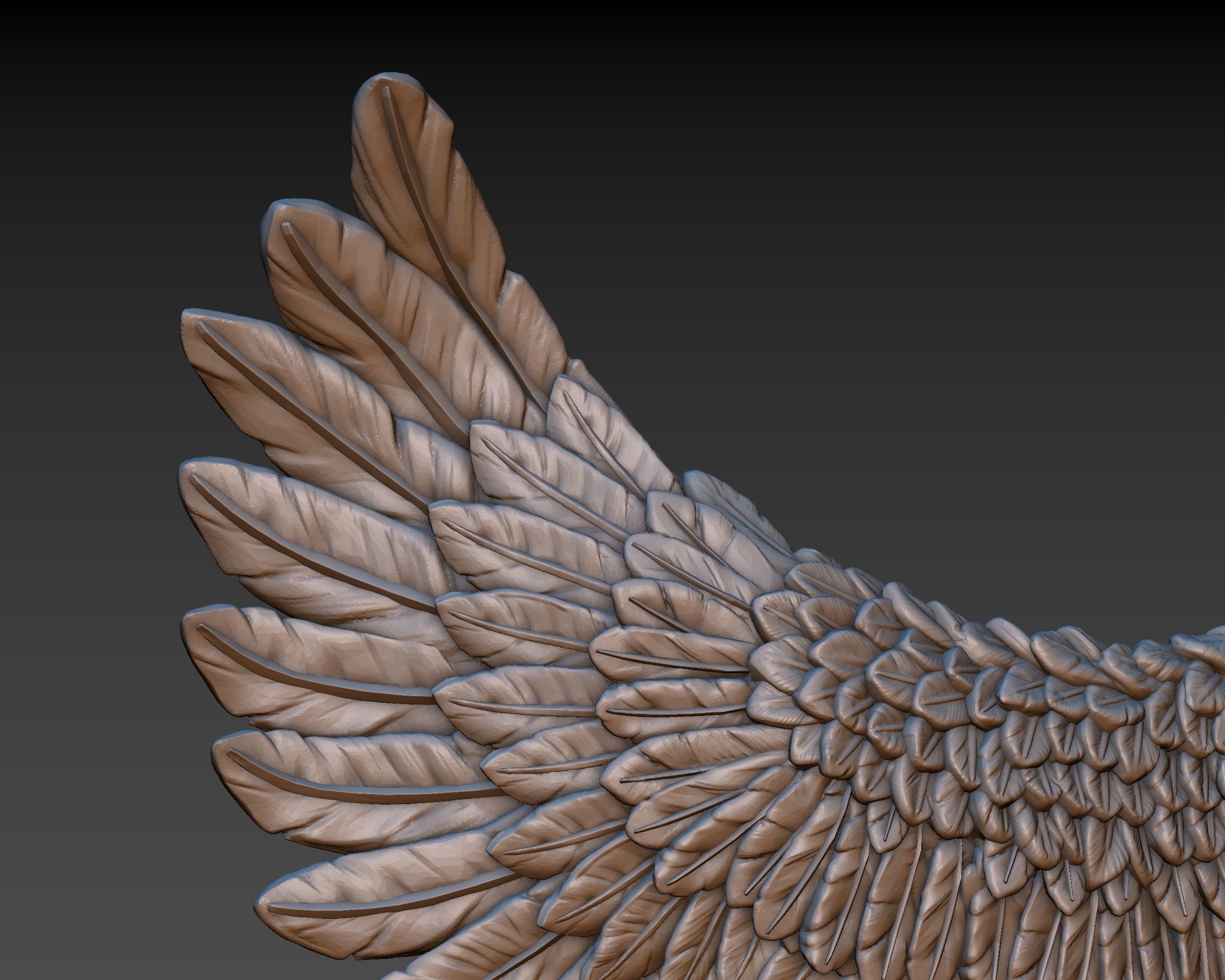 Wings eagle wing 3D print model_8
