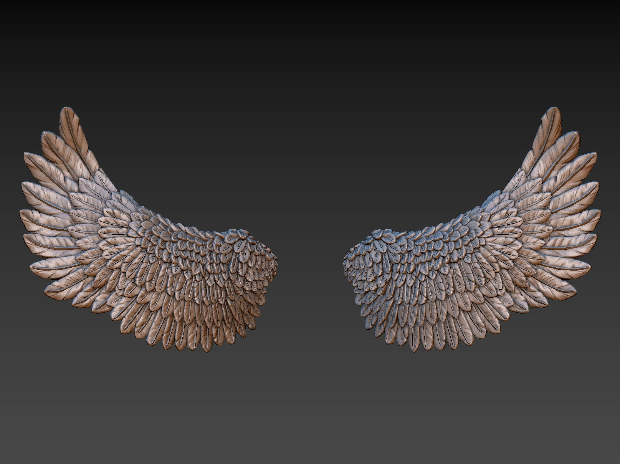 Wings eagle wing 3D print model_20