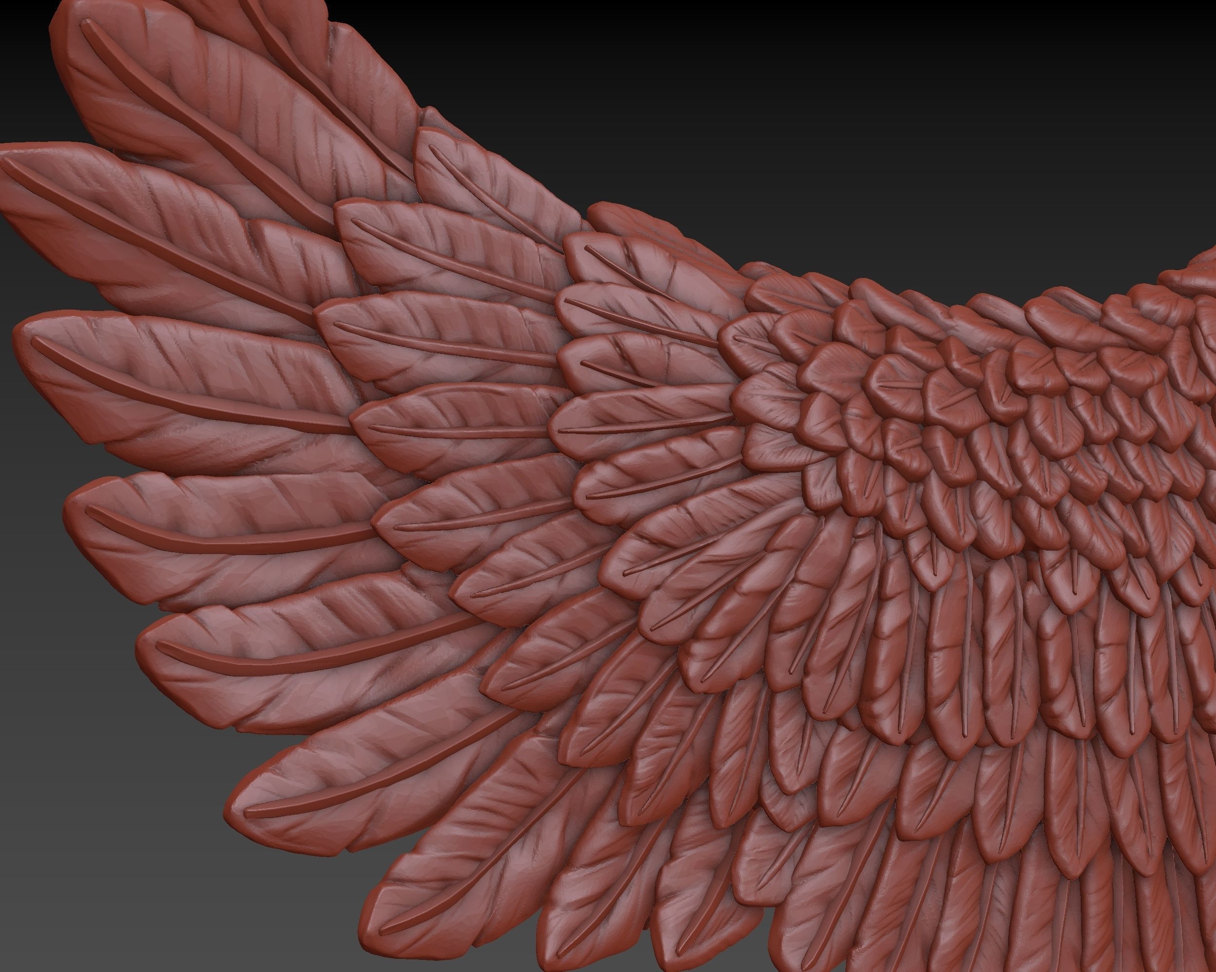 Wings eagle wing 3D print model_15