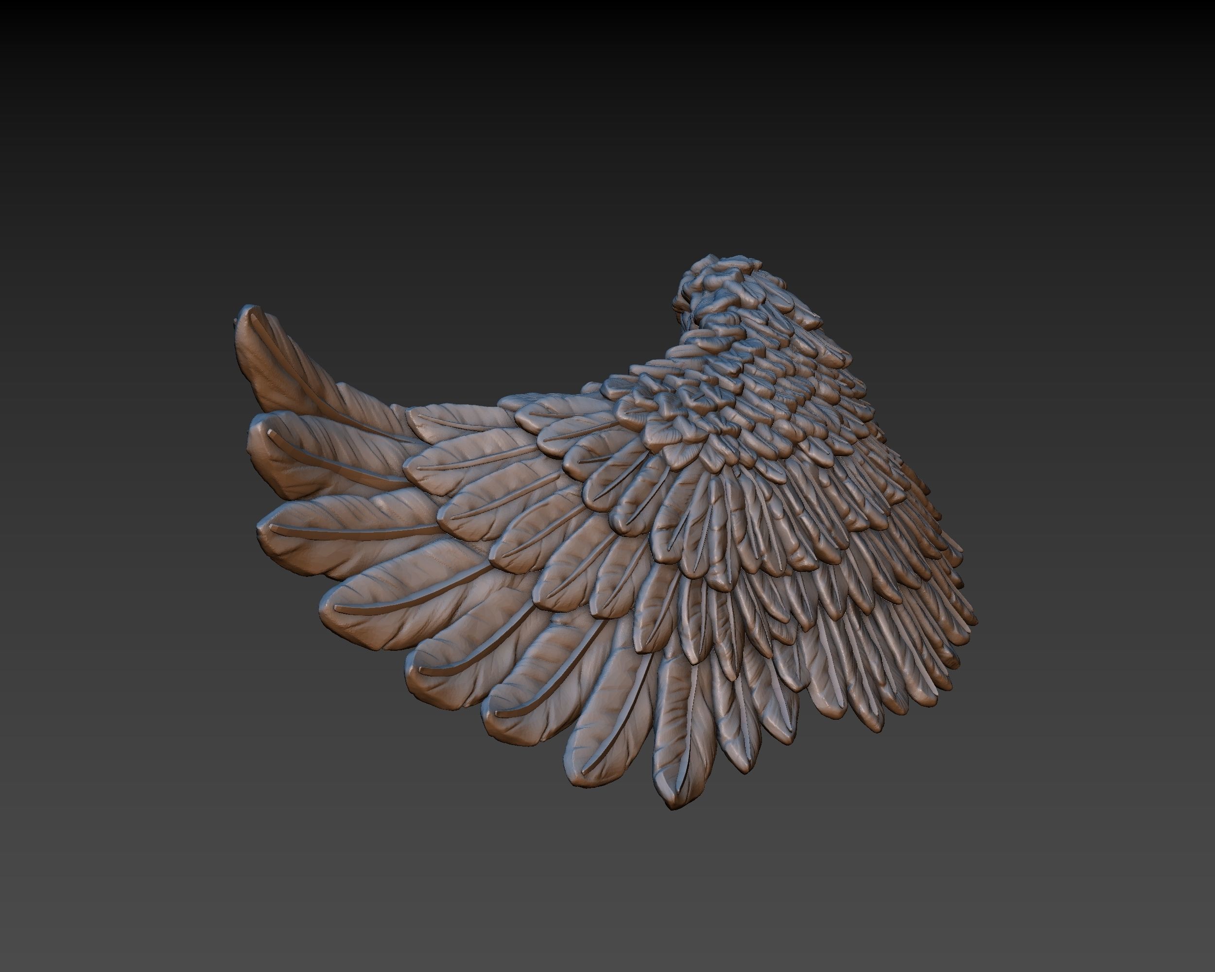 Wings eagle wing 3D print model_5