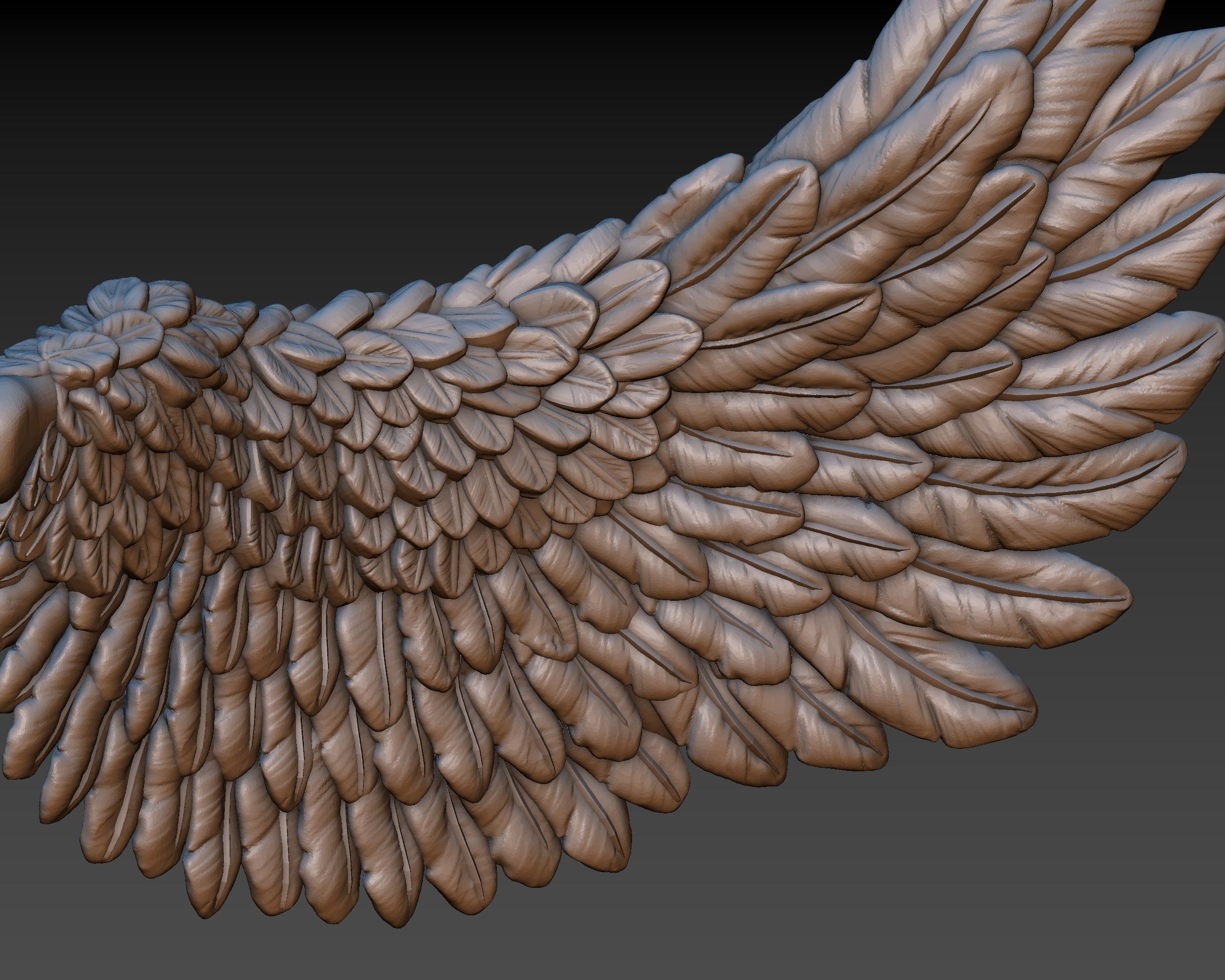 Wings eagle wing 3D print model_7