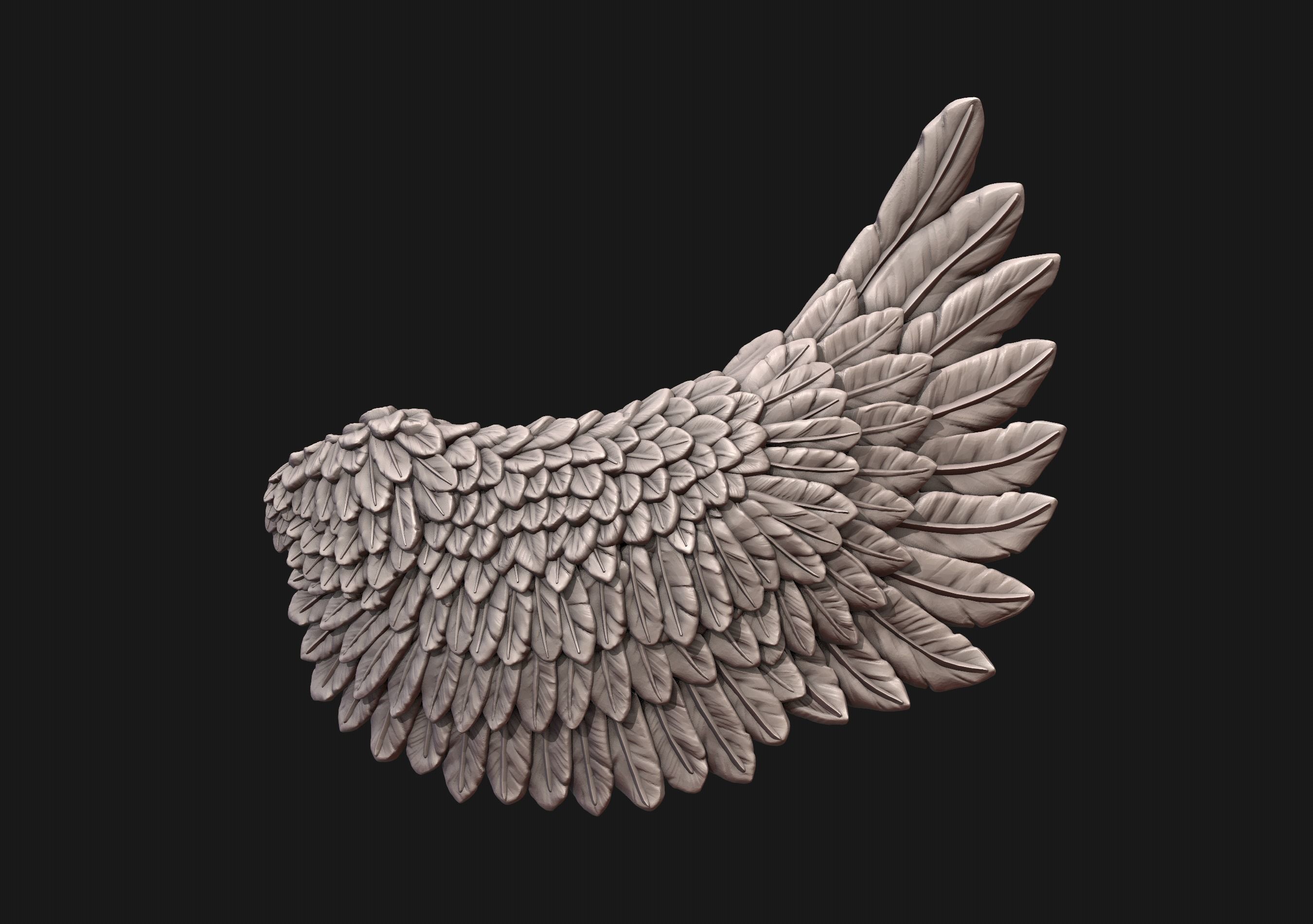 Wings eagle wing 3D print model_1