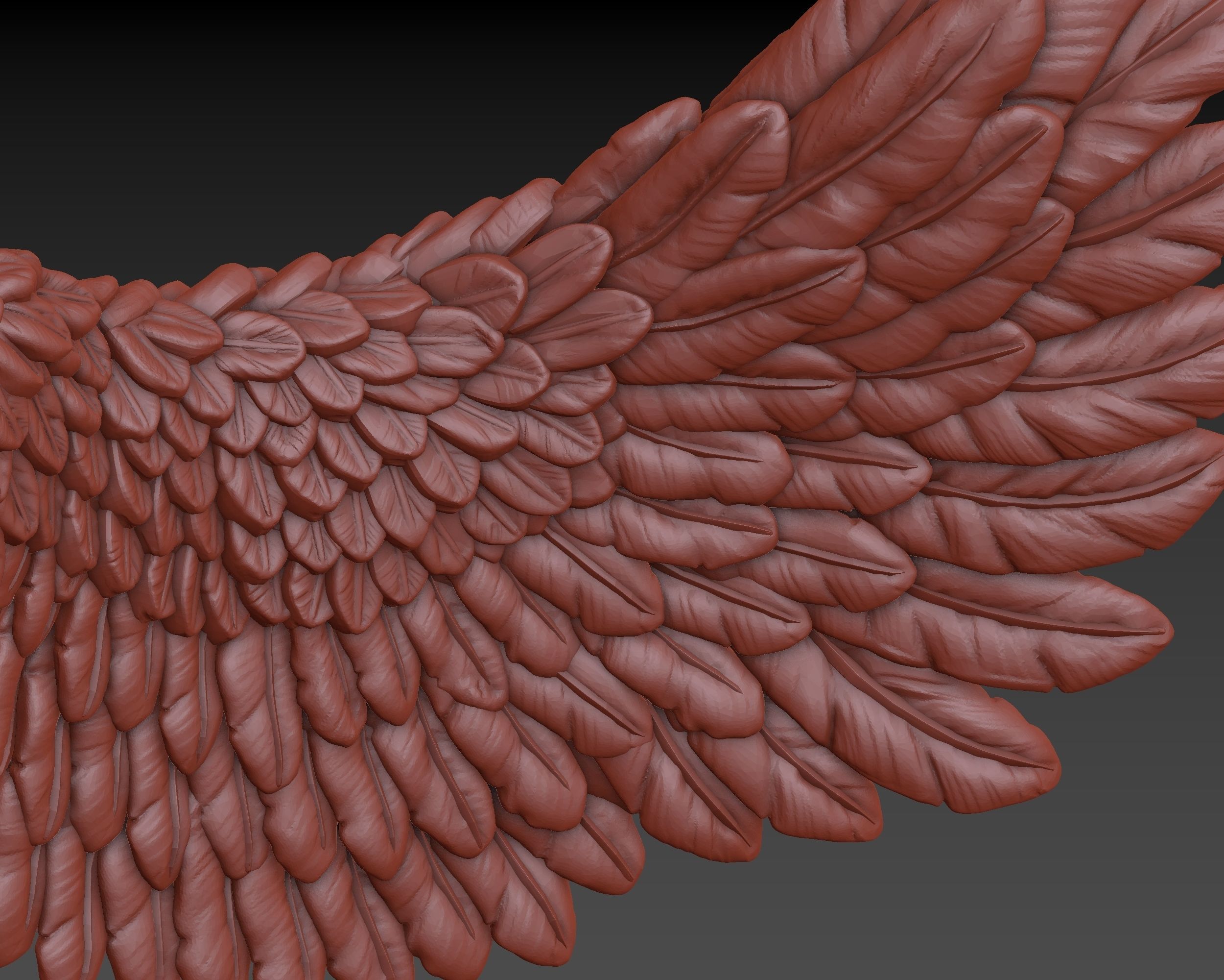 Wings eagle wing 3D print model_16