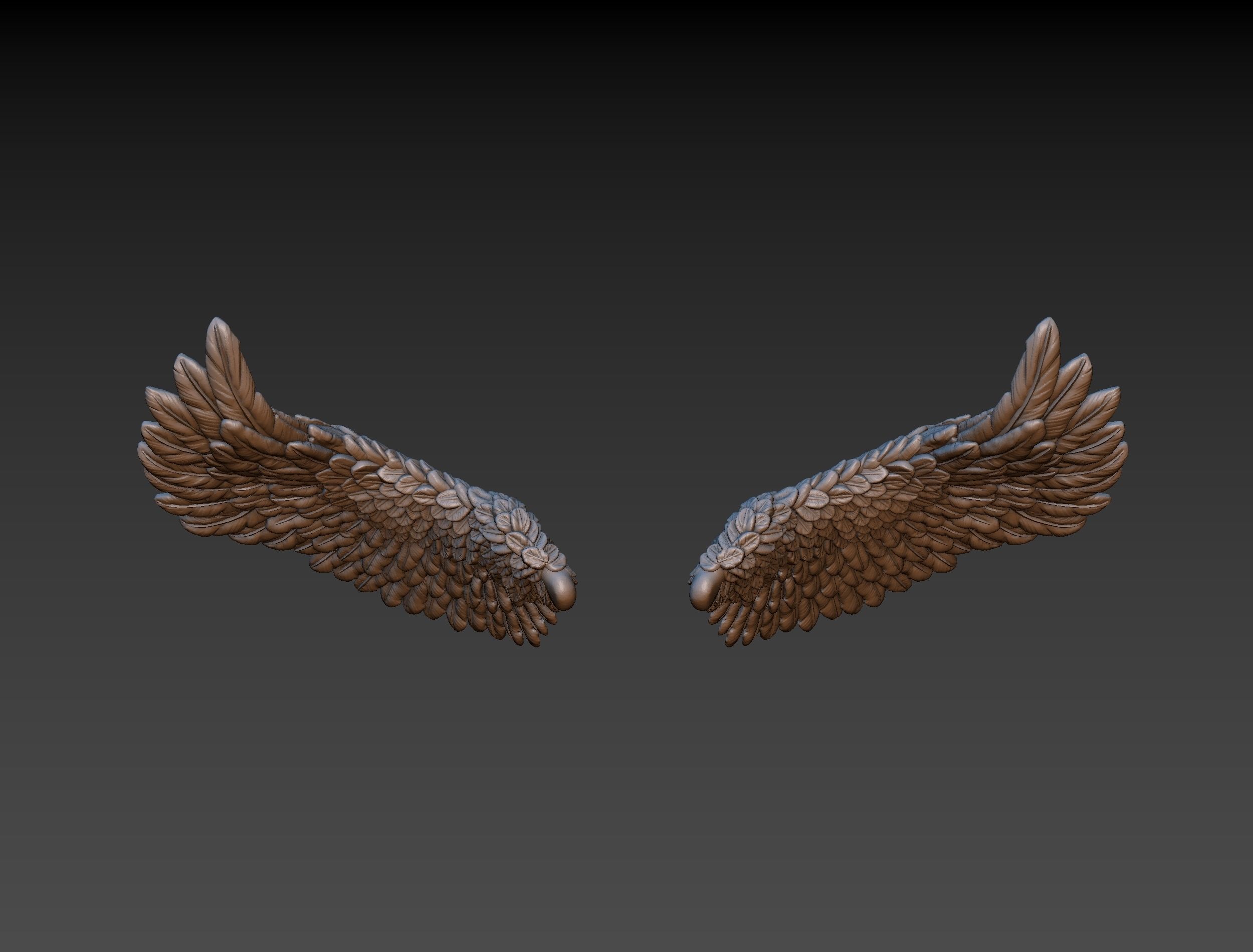 Wings eagle wing 3D print model_18