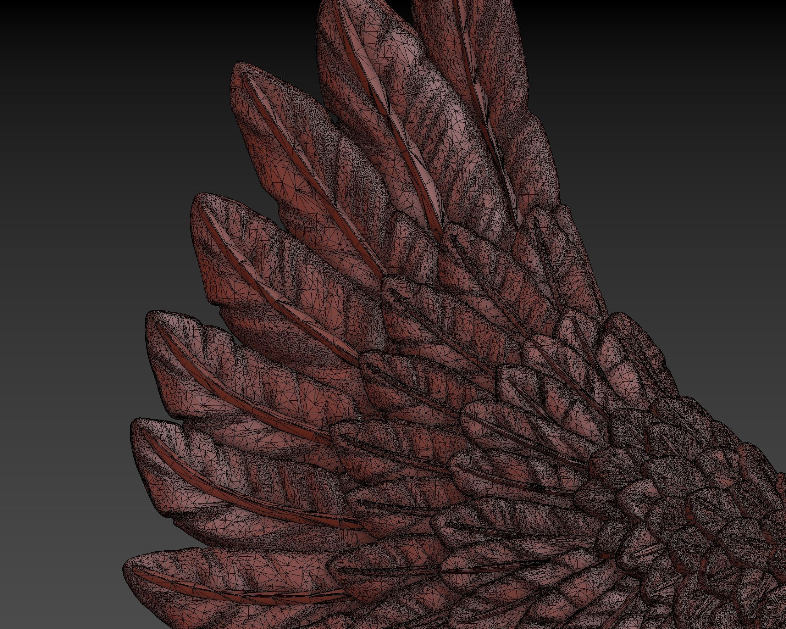 Wings eagle wing 3D print model_23