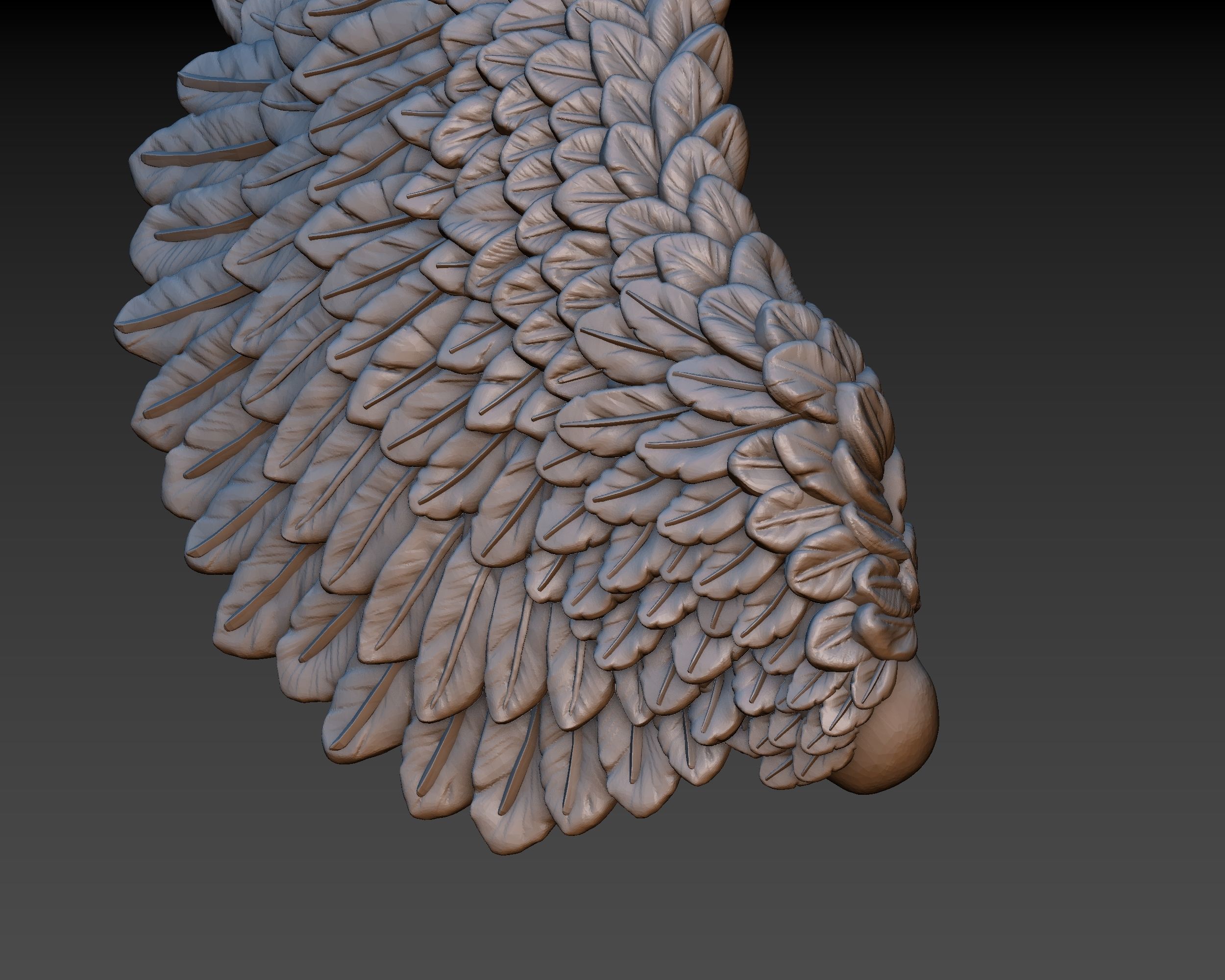 Wings eagle wing 3D print model_9