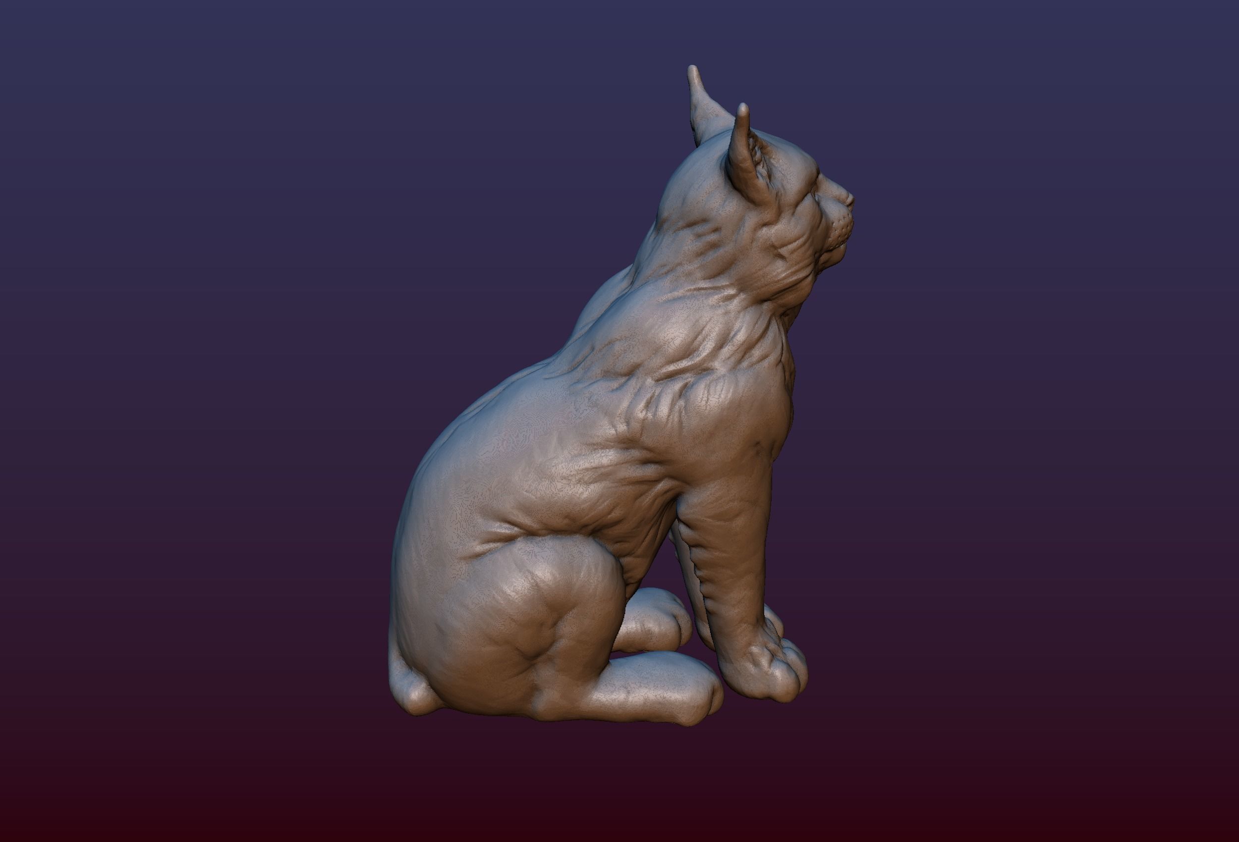 Lynx Kitten 3D print model_5