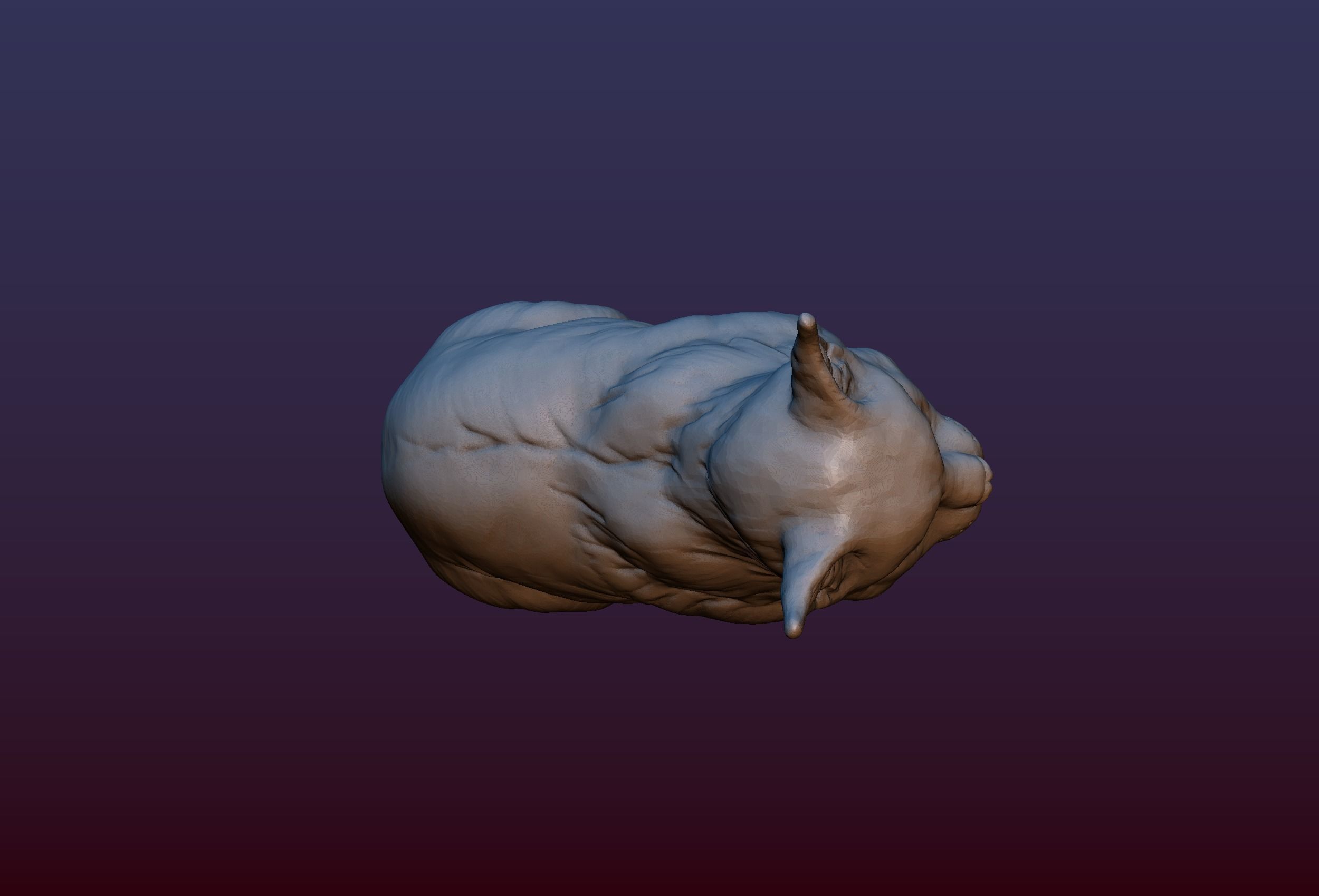 Lynx Kitten 3D print model_7