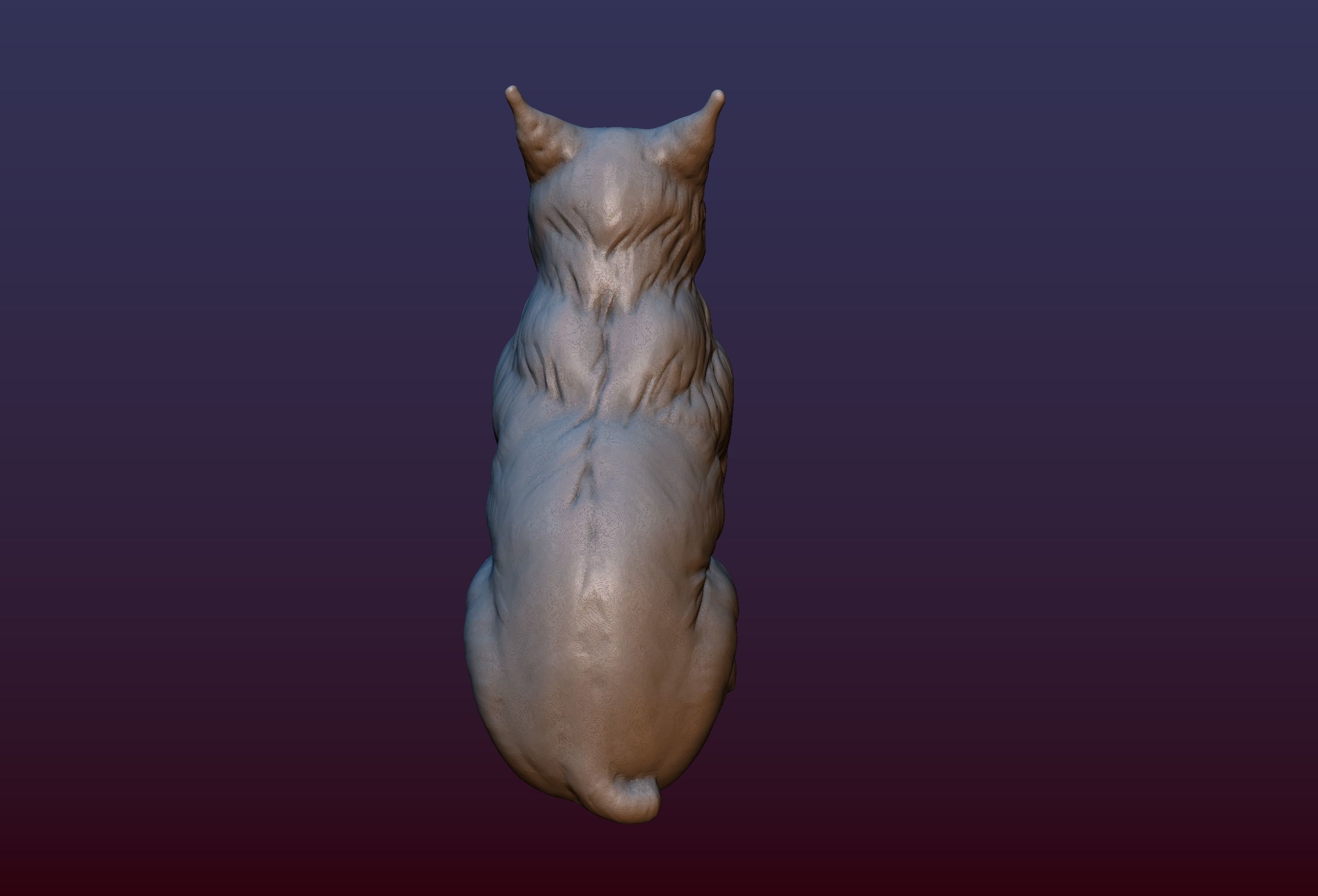Lynx Kitten 3D print model_4