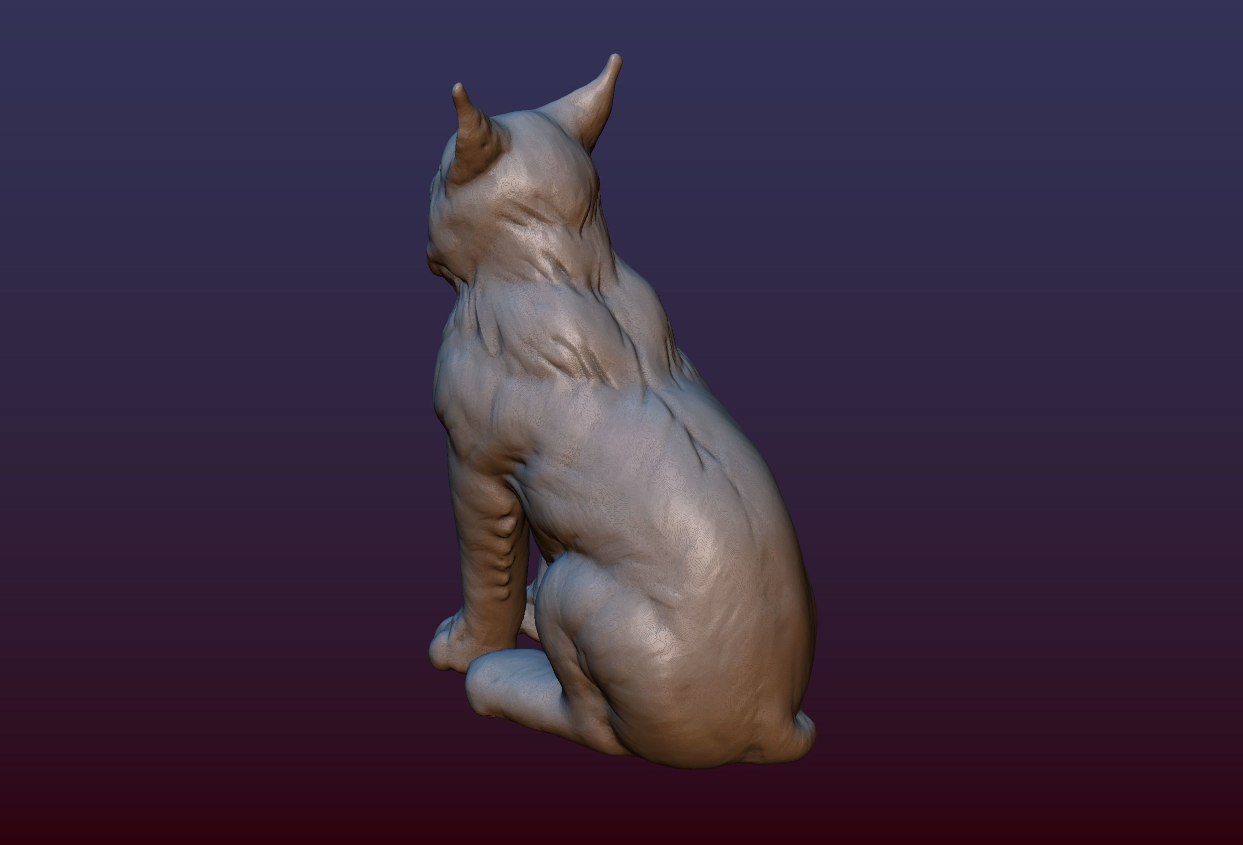 Lynx Kitten 3D print model_3