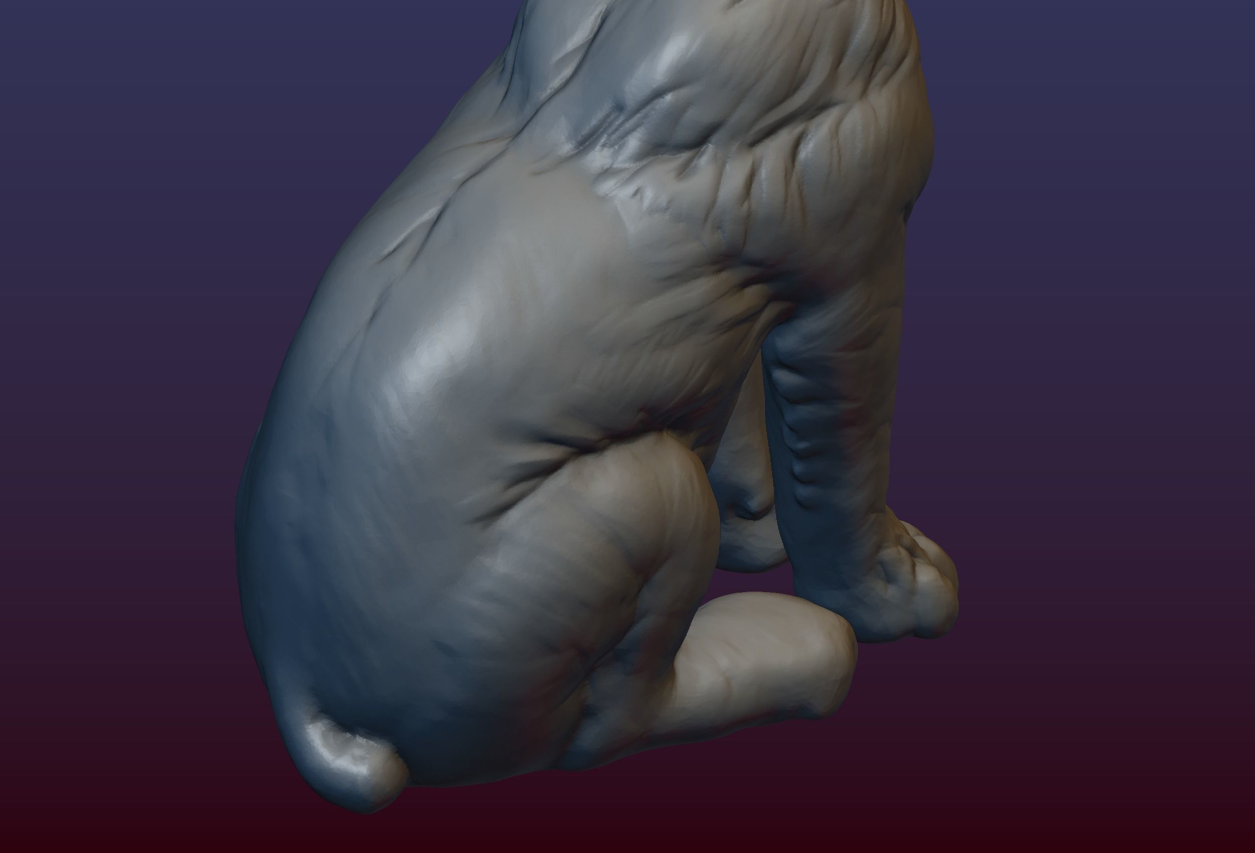 Lynx Kitten 3D print model_17