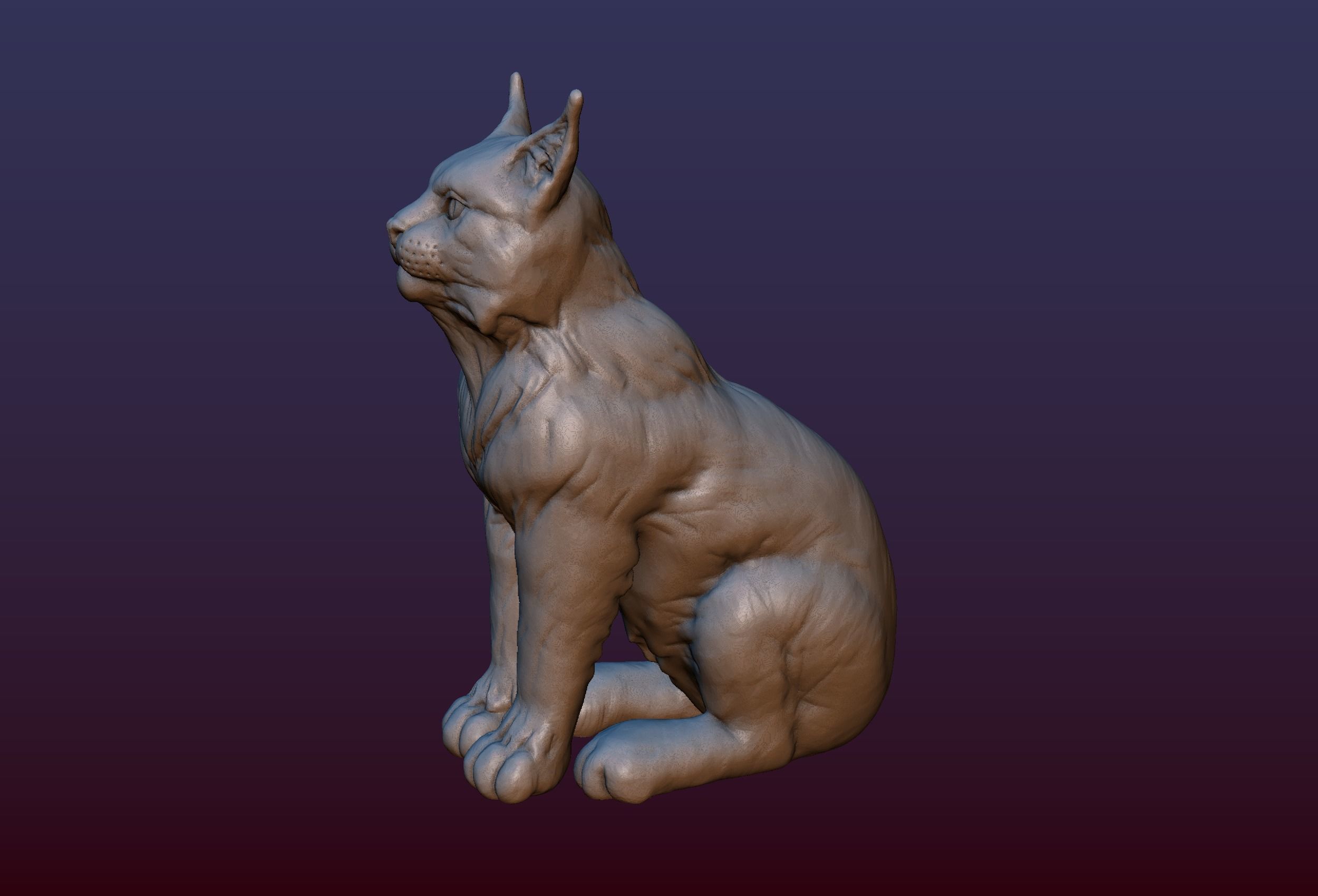 Lynx Kitten 3D print model_2