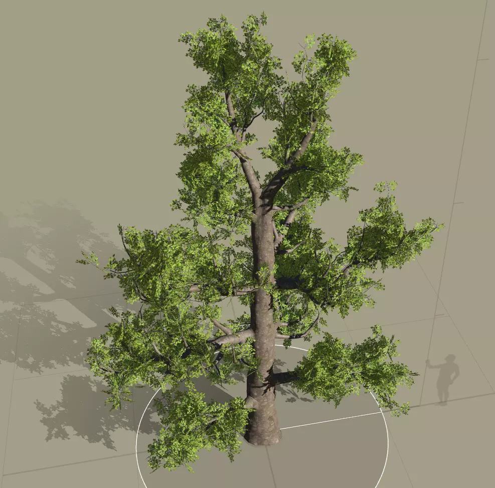 tree speedtree Low-poly 3D model_0