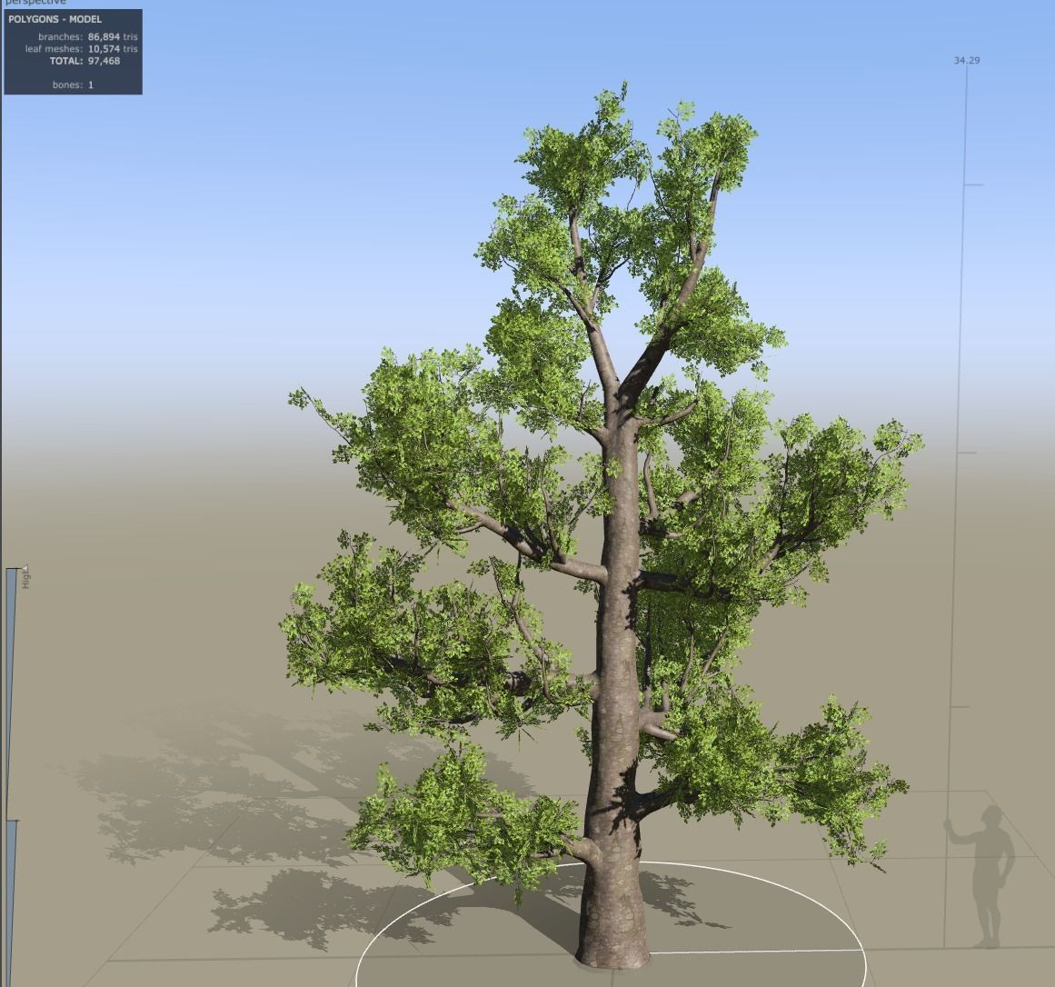 tree speedtree Low-poly 3D model_2