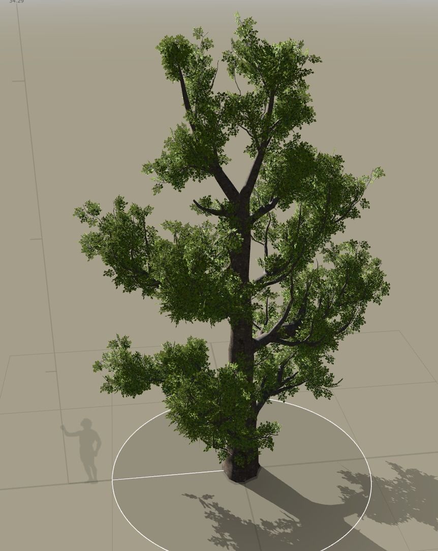 tree speedtree Low-poly 3D model_1