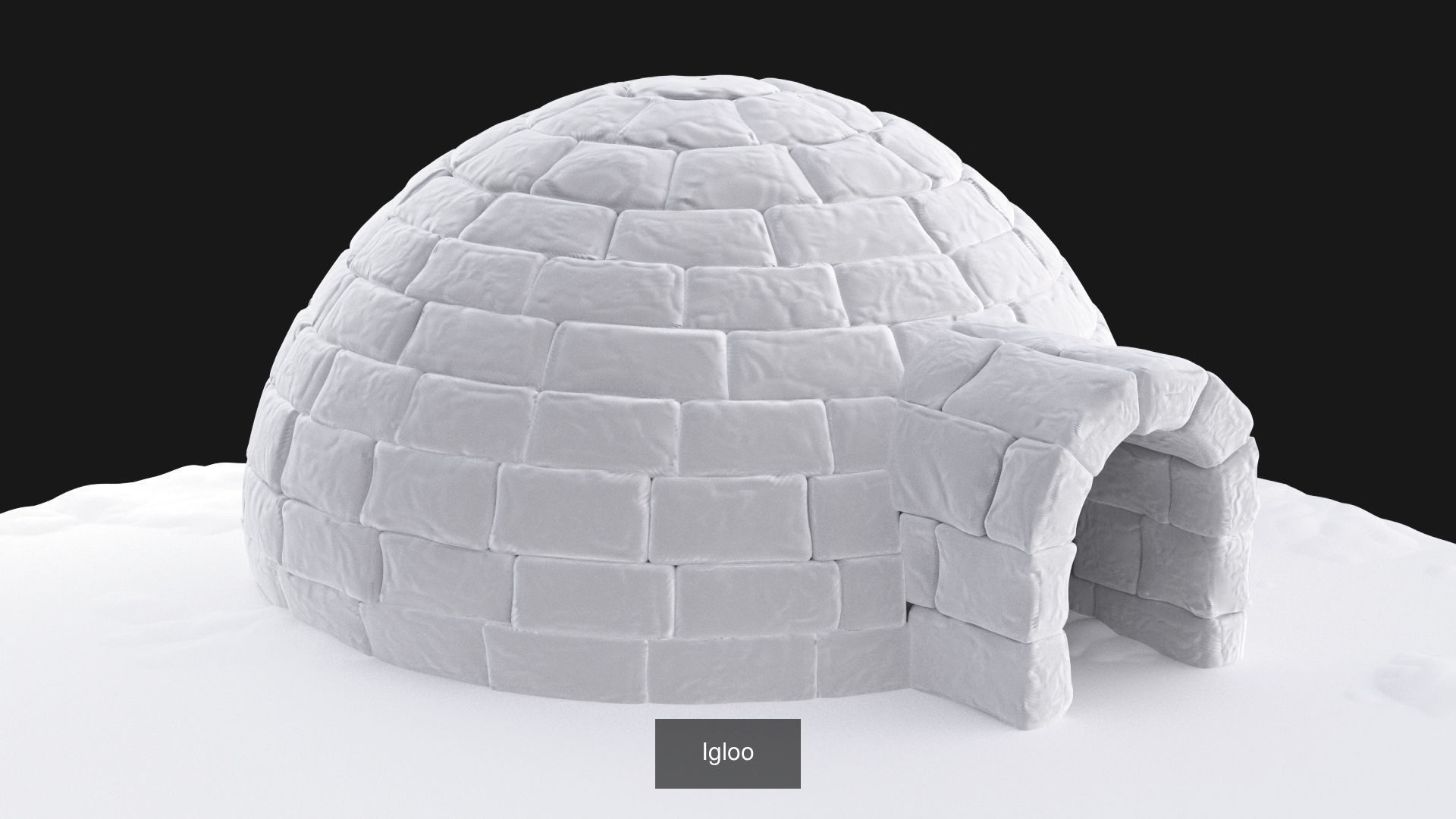 Sled-Igloo-Chest-Lion fish 3D Model Collection_5
