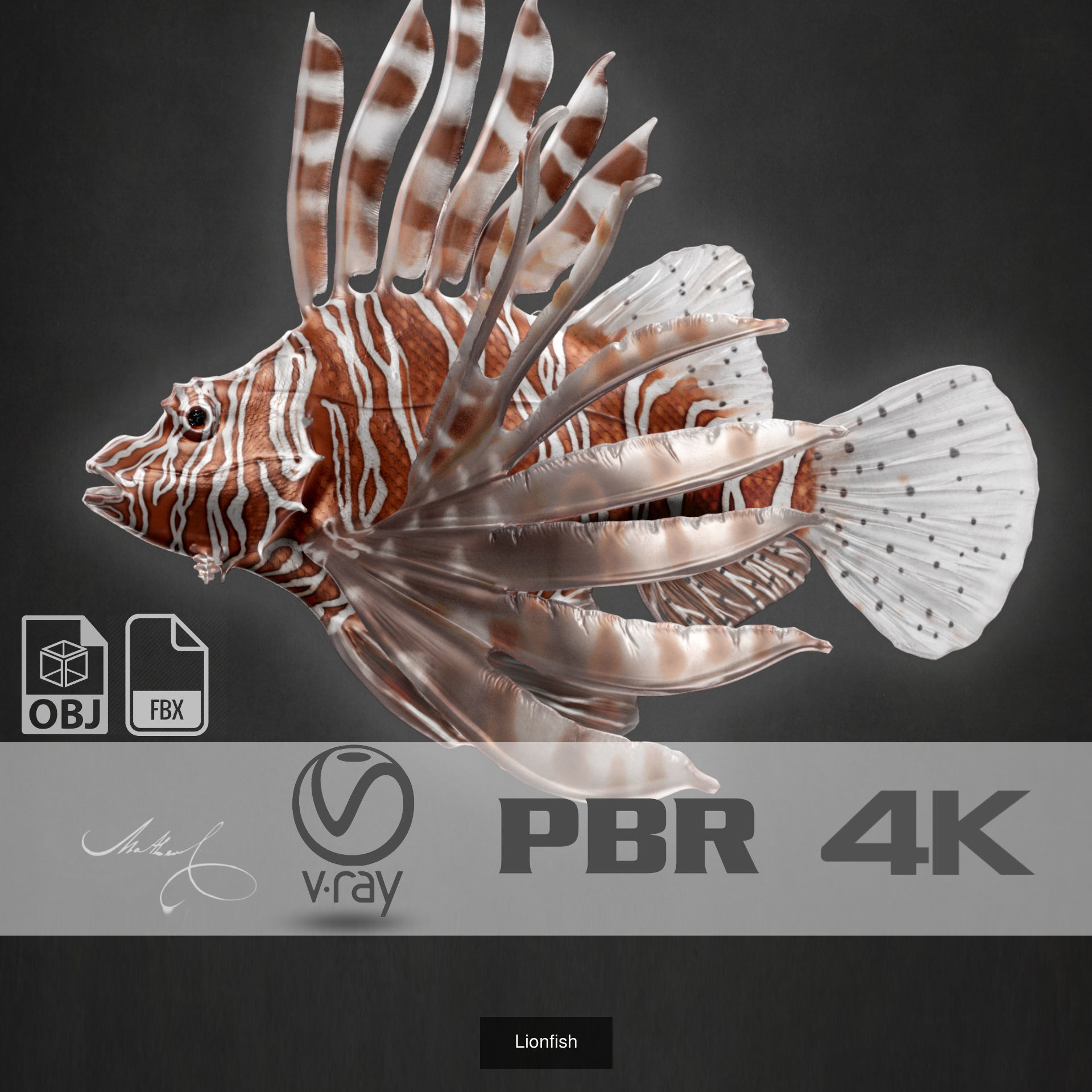 Sled-Igloo-Chest-Lion fish 3D Model Collection_7