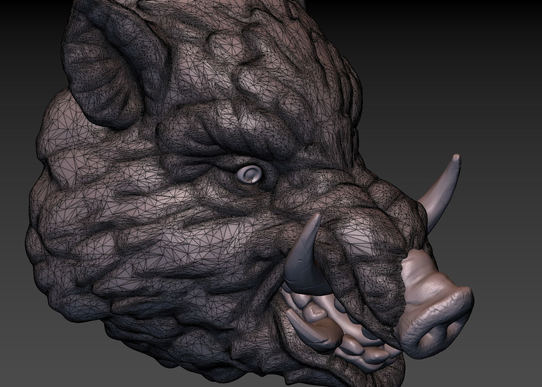 Boar head 3D print model_22