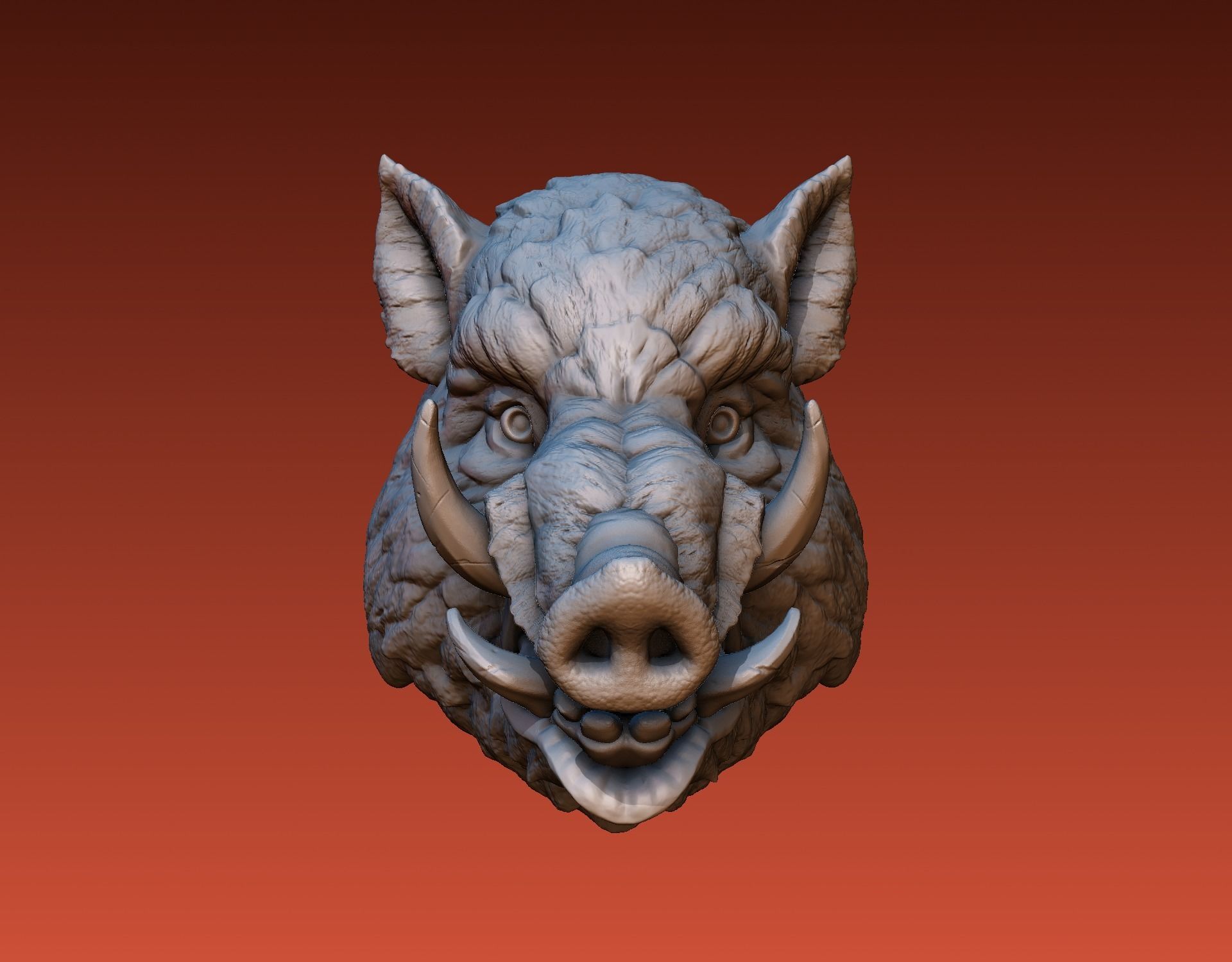 Boar head 3D print model_1