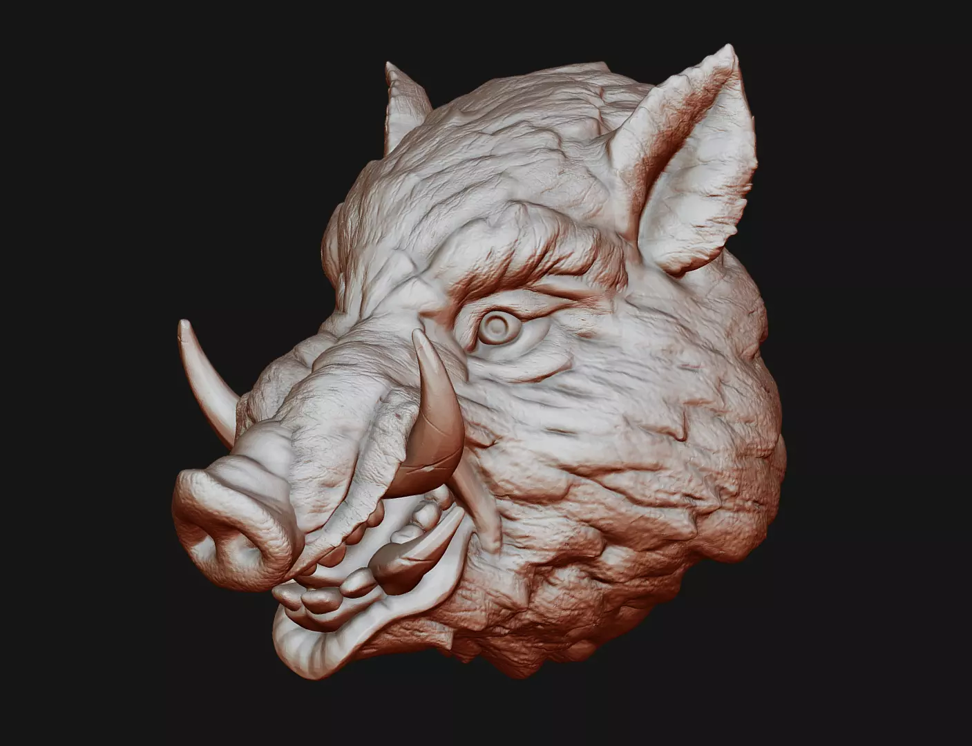 Boar head 3D print model_0