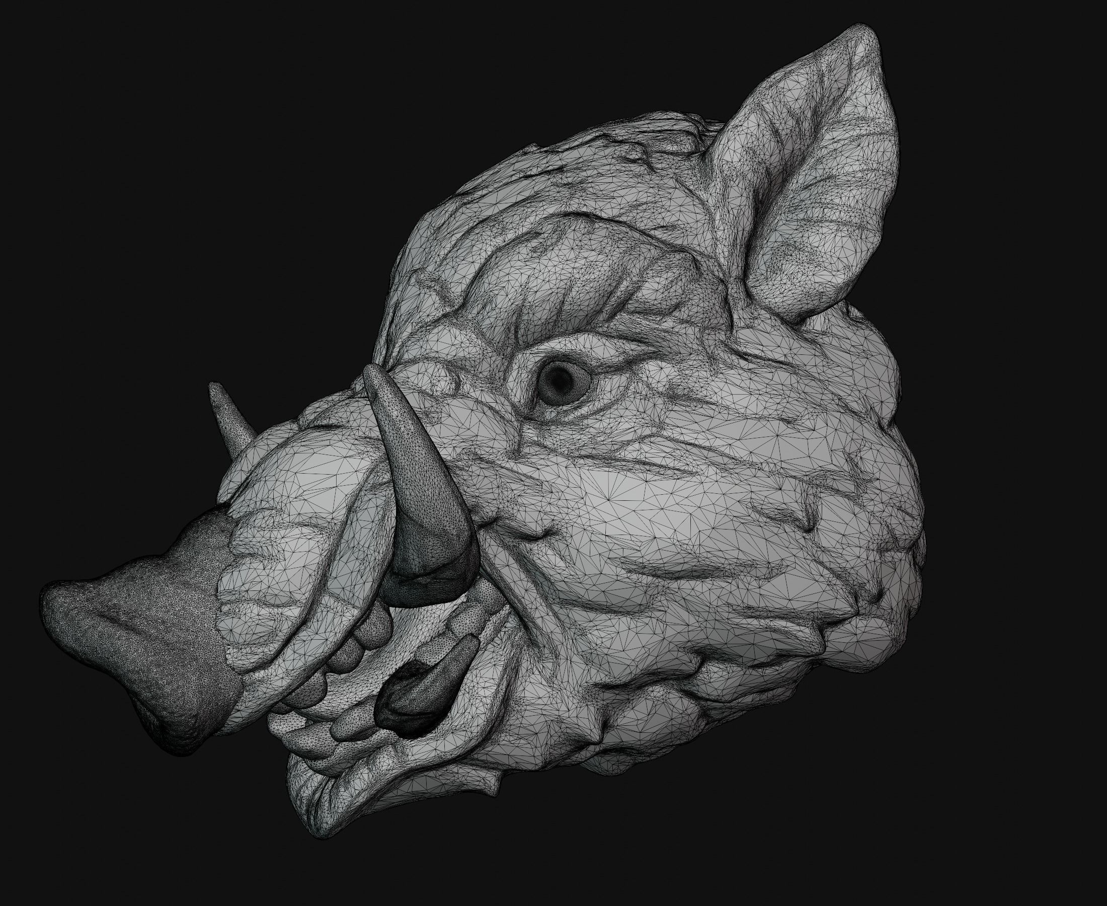 Boar head 3D print model_27