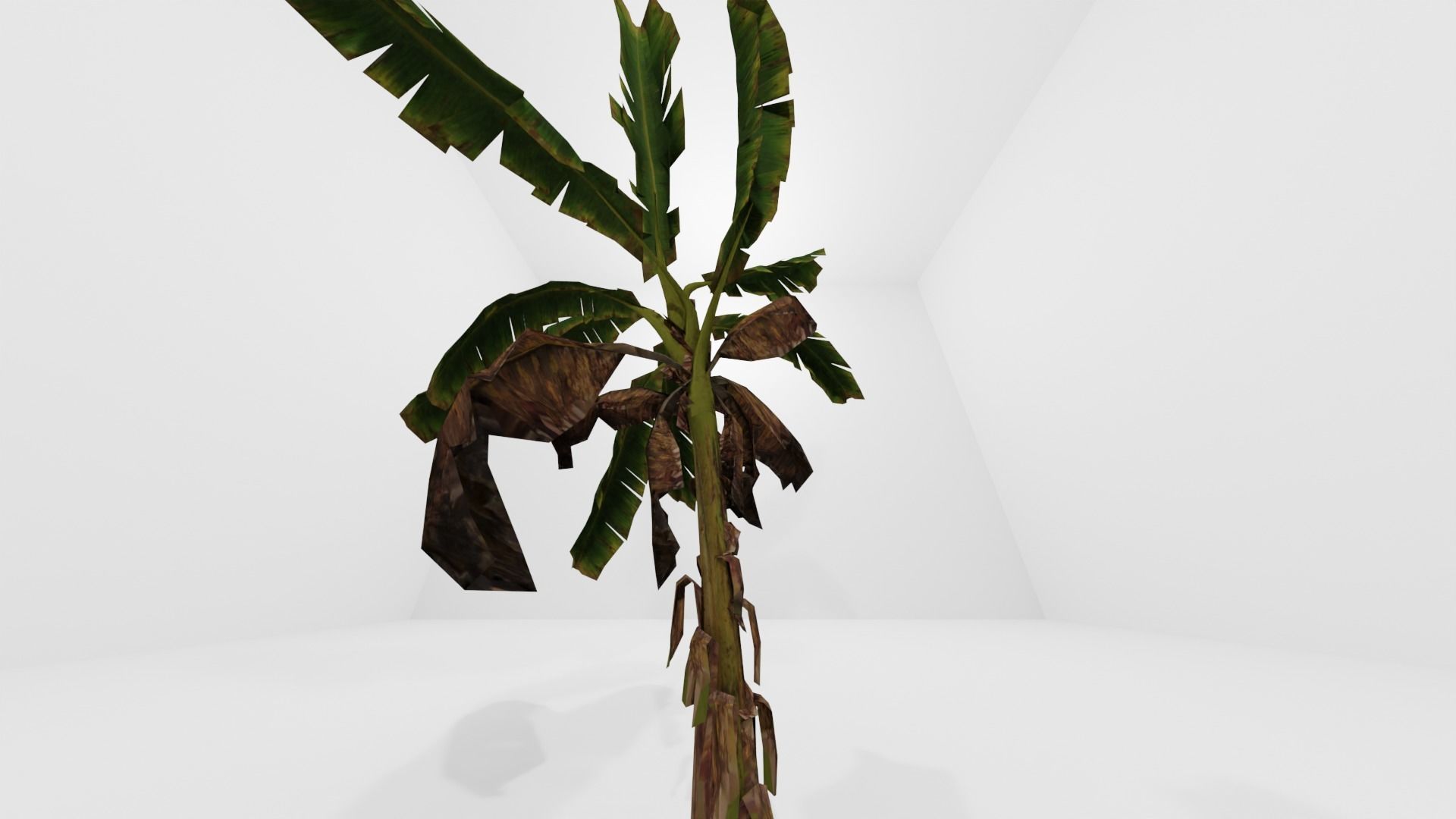 Tree Low-poly 3D model banana plant Low-poly 3D model_17