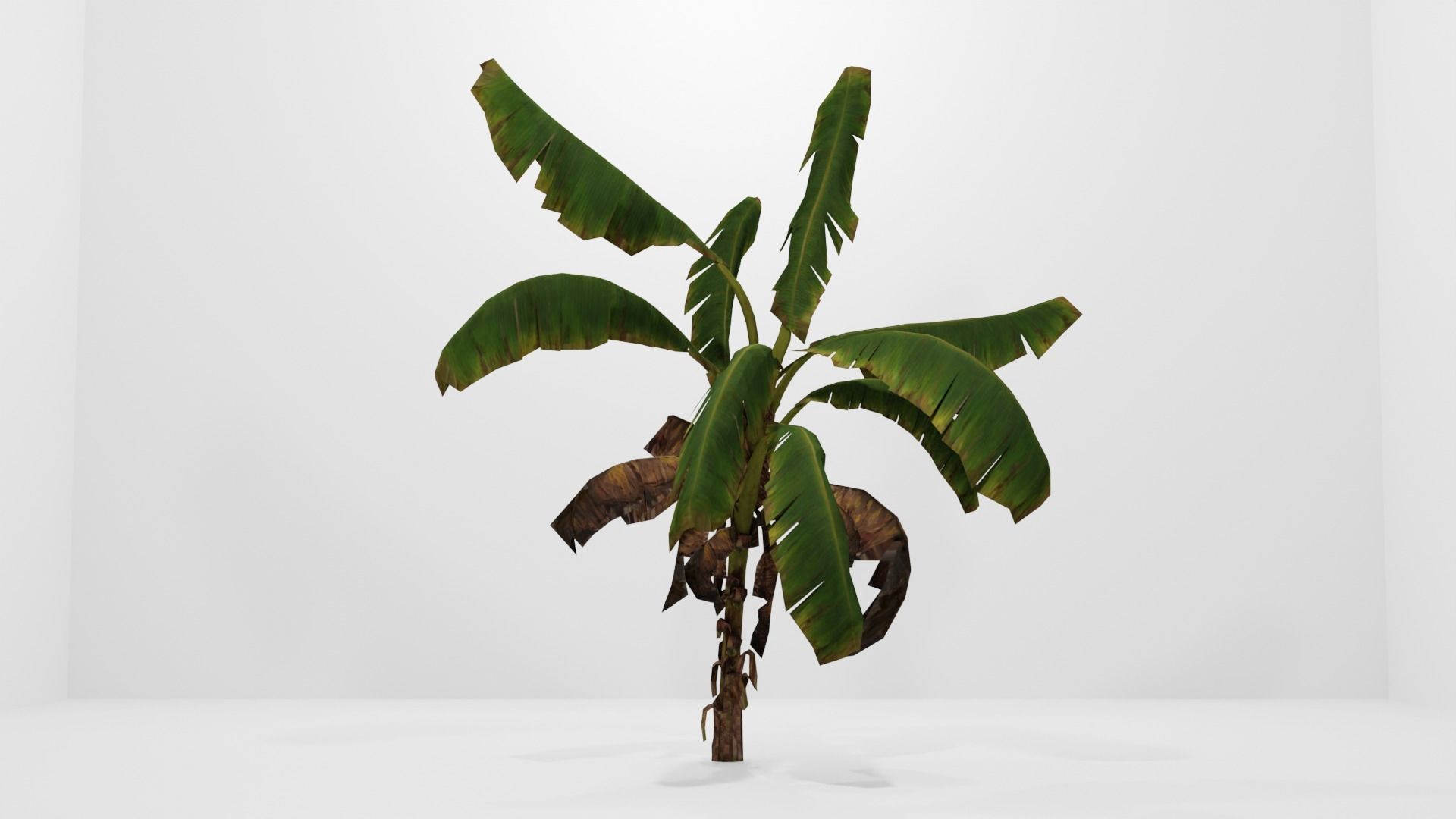 Tree Low-poly 3D model banana plant Low-poly 3D model_12