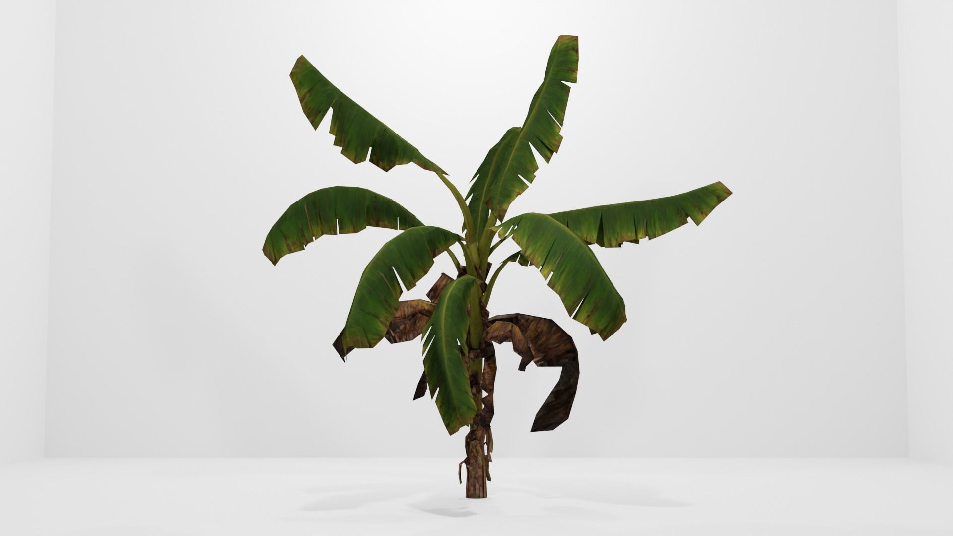 Tree Low-poly 3D model banana plant Low-poly 3D model_11