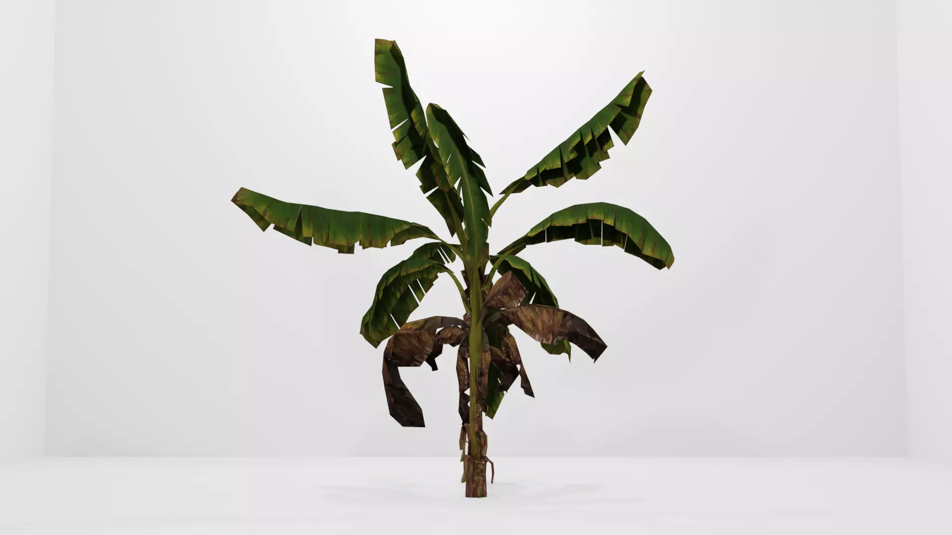 Tree Low-poly 3D model banana plant Low-poly 3D model_0