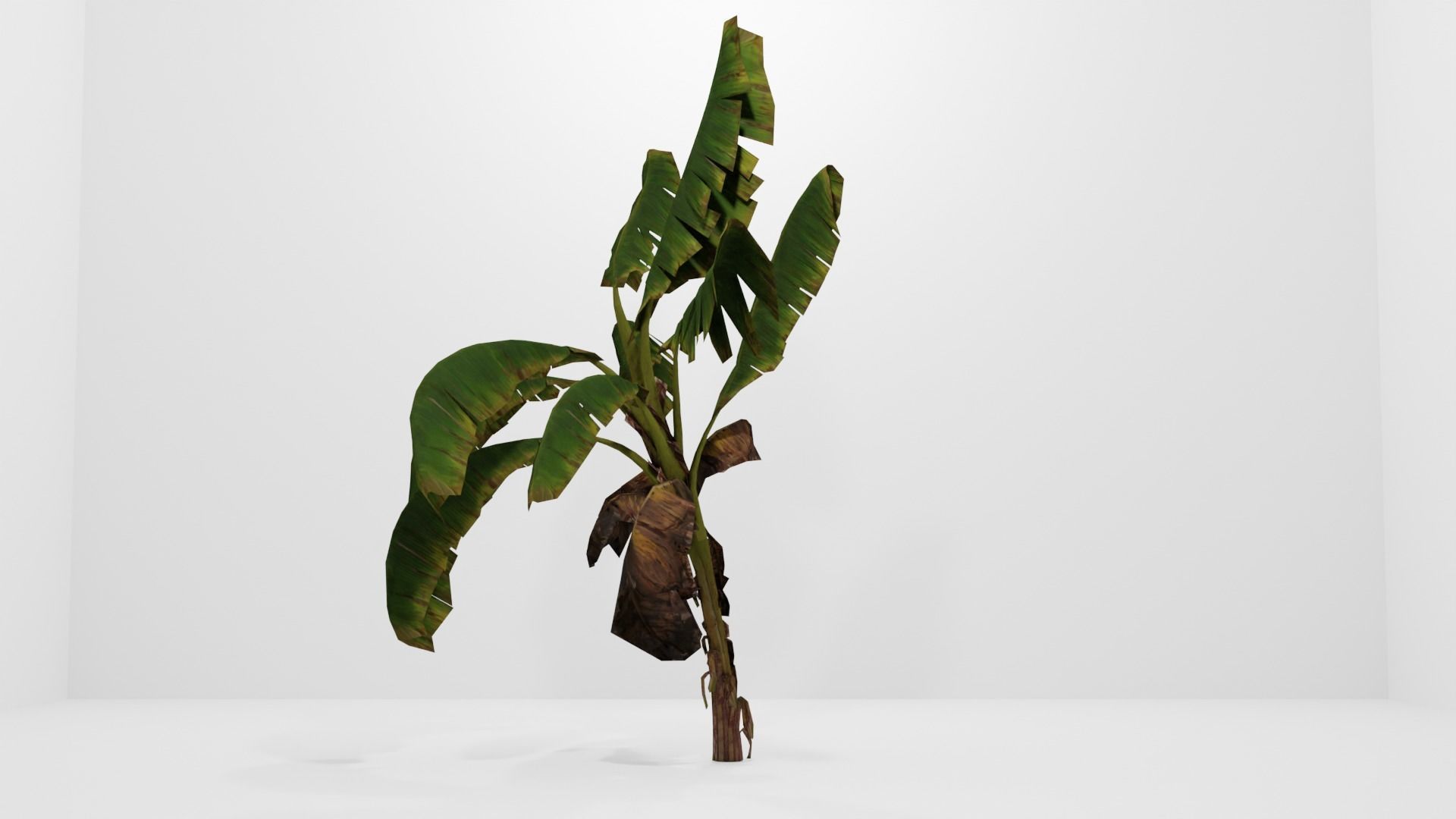 Tree Low-poly 3D model banana plant Low-poly 3D model_6