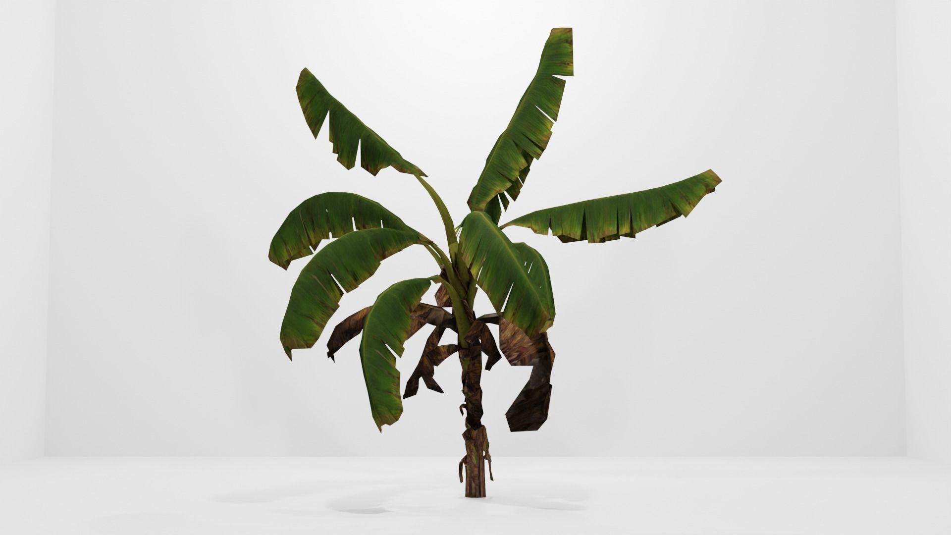 Tree Low-poly 3D model banana plant Low-poly 3D model_10