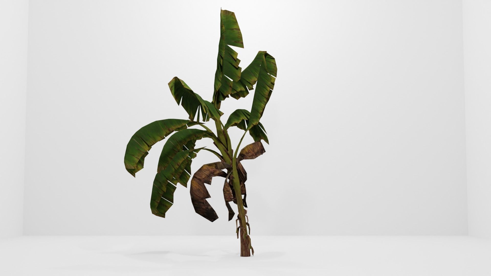 Tree Low-poly 3D model banana plant Low-poly 3D model_3