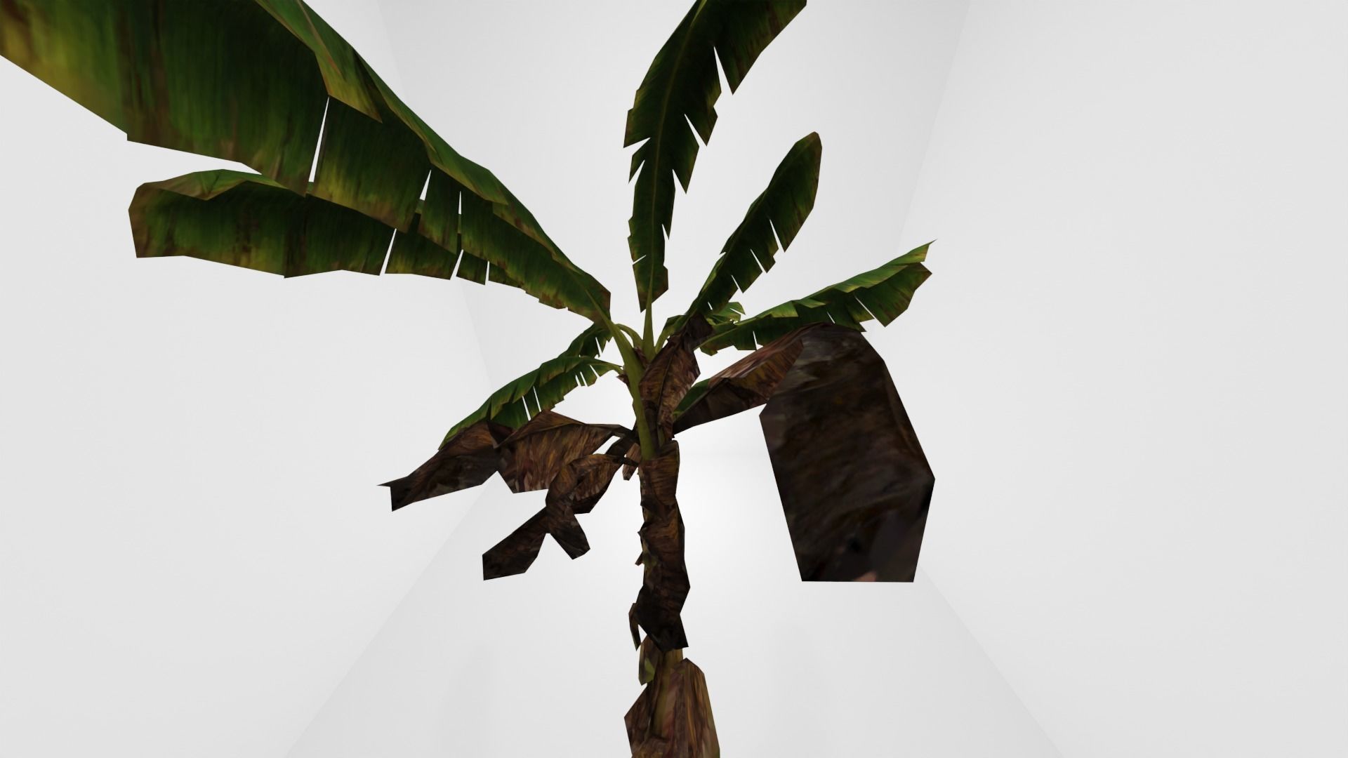 Tree Low-poly 3D model banana plant Low-poly 3D model_19