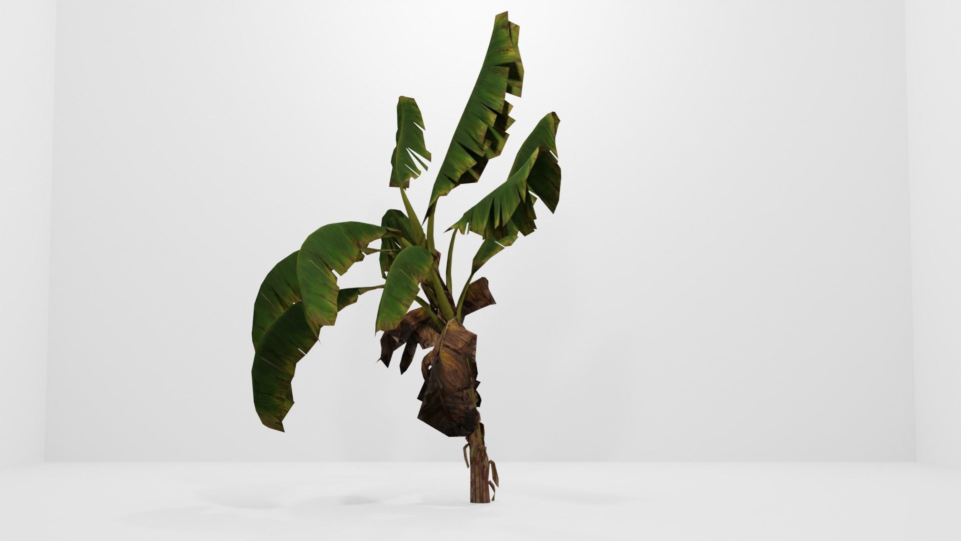 Tree Low-poly 3D model banana plant Low-poly 3D model_7