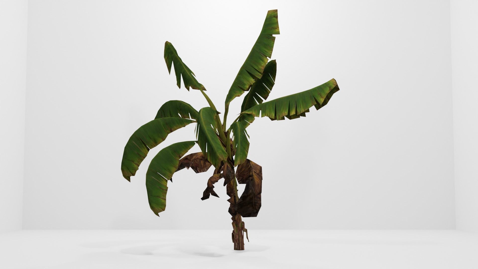 Tree Low-poly 3D model banana plant Low-poly 3D model_9