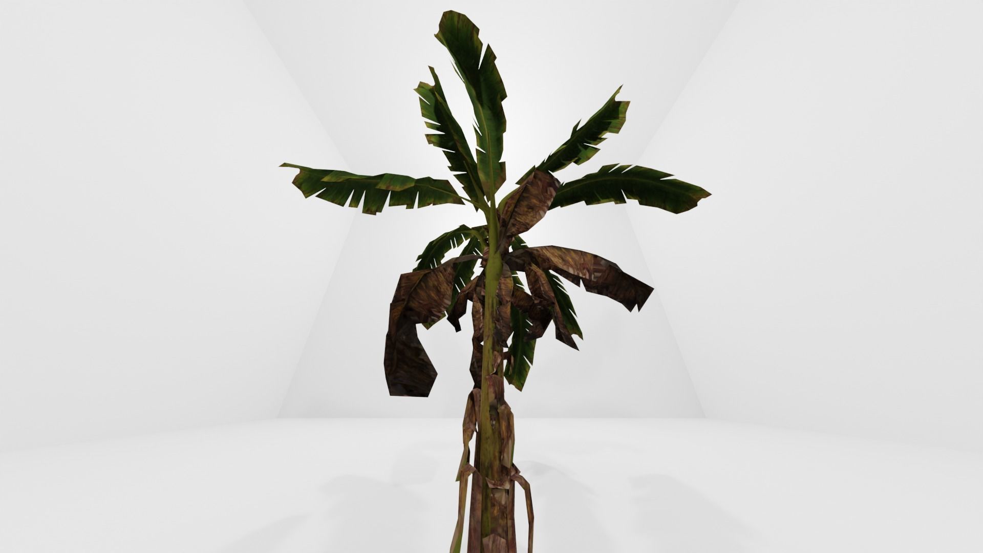 Tree Low-poly 3D model banana plant Low-poly 3D model_16