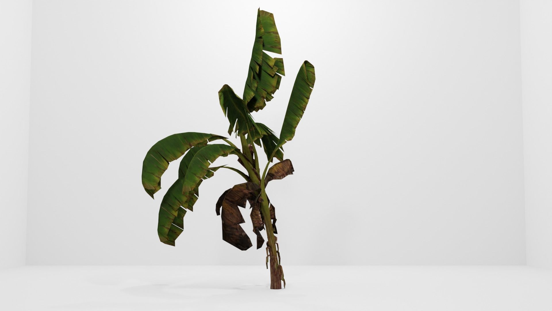 Tree Low-poly 3D model banana plant Low-poly 3D model_4